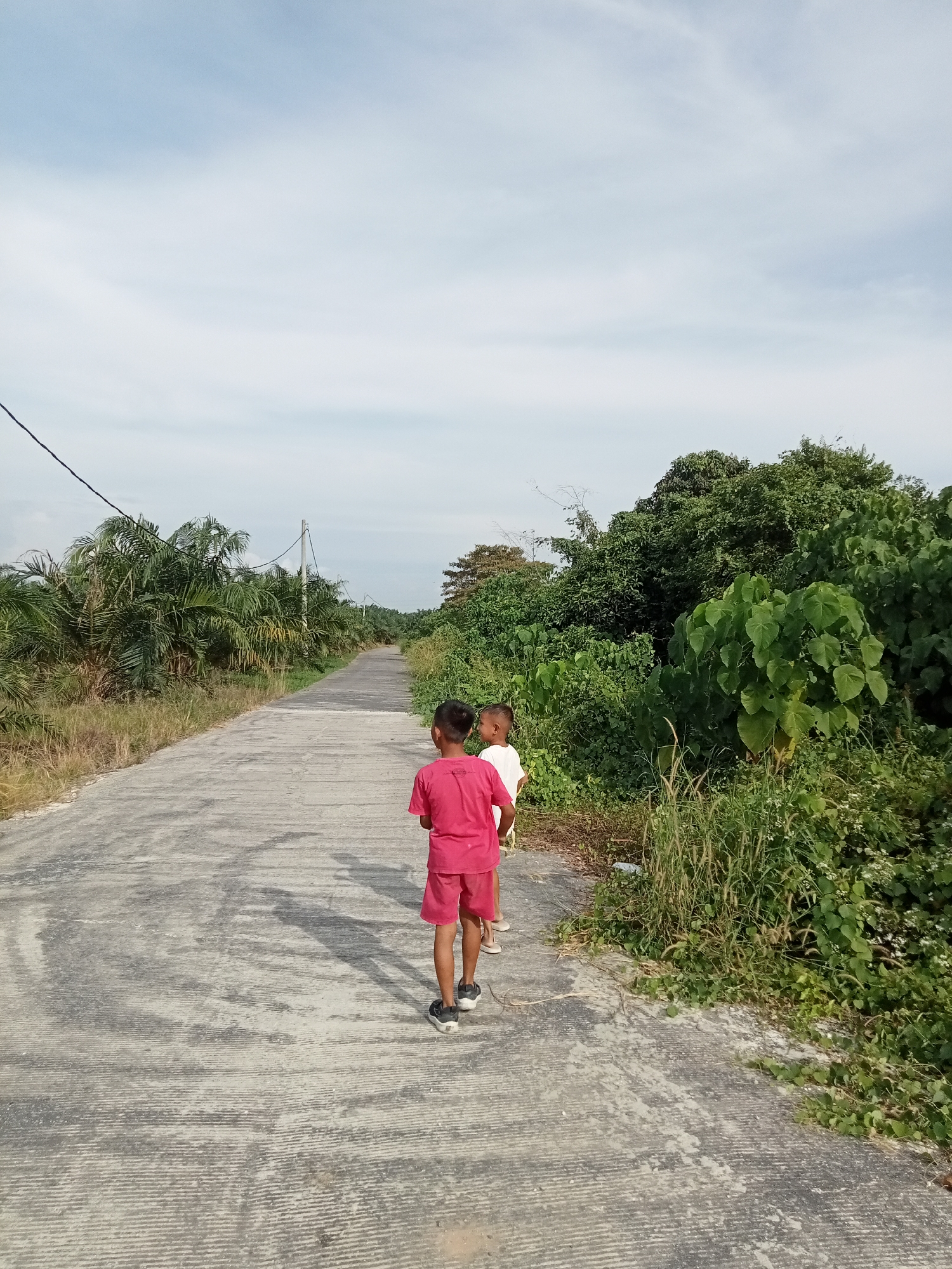 The image depicts a concrete road stretching into the distance under a partly cloudy sky. Two young boys, viewed from behind, are walking away from the camera on the road. The boy in front wears a red t-shirt and red shorts, with black and white sneakers. The boy behind him wears a white t-shirt and shorts. The road is flanked on the left by a field of palm trees and on the right by lush, dense green vegetation and trees. A utility pole and power lines are visible in the background. The scene appears to be in a rural or semi-rural area, possibly on the outskirts of Teluk Kenidai, Indonesia, given the presence of palm trees and tropical foliage. The overall impression is of a warm, clear day.