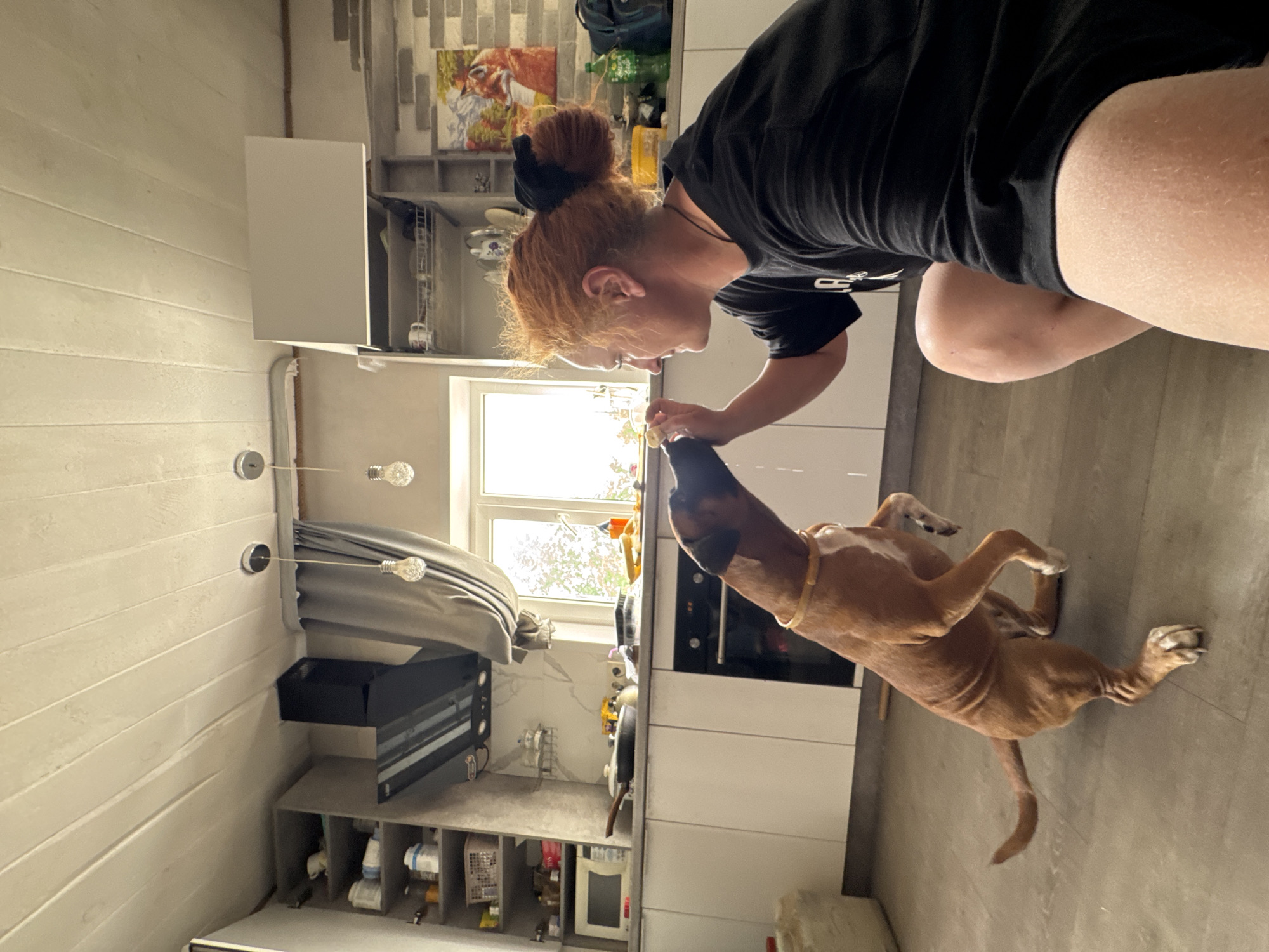 A light-skinned woman with red hair styled in a bun is interacting with a tan and brown dog in what appears to be a kitchen. The woman is wearing a black t-shirt and dark-colored shorts. She is crouched down and is holding what appears to be a treat to the dog, which is standing on its hind legs.
The kitchen has white cabinets, a window with a view of trees, and a gray floor. A microwave and other items are visible on shelves. The style and design suggest a modern, possibly European, aesthetic.
The location, Chaikovsky, Russia, is based on prior information.
