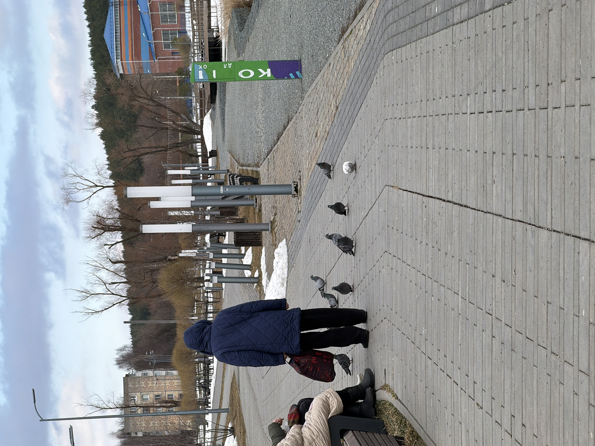 A medium, long shot depicts a paved public space in Votkinsk, Russia, on an overcast day. An adult female with a dark blue quilted jacket and black pants stands on a gray brick walkway among pigeons. She holds a patterned bag. A person is seated on a bench to her right. Additional pigeons are scattered in the foreground. Poles with rectangular white lights extend from the left side. A green sign with the word "КOЯ" in white Cyrillic letters is partially visible on the upper left. In the background are trees, a building with a blue roof, and a residential building. Bare trees suggest early spring.