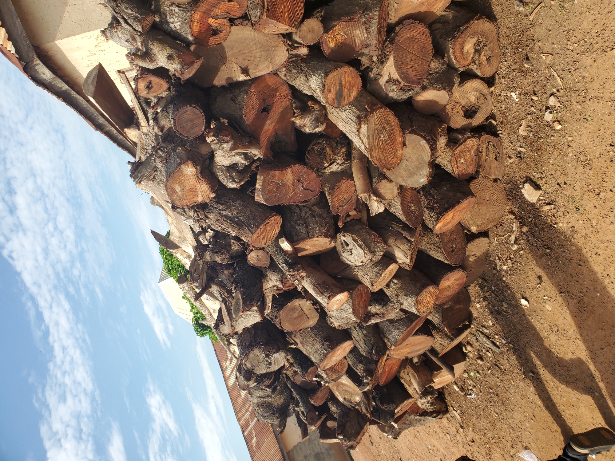This forensic description details a daytime scene in the city of Winters, United States of America. The primary subject is a substantial, irregularly stacked pile of cut firewood logs, occupying the majority of the lower and central frame. The logs vary in size and shape, predominantly displaying circular and oval cross-sections with visible reddish-brown heartwood, growth rings, and remnants of darker bark. Some logs exhibit natural irregularities, knots, or hollowed areas.
The ground beneath the firewood pile is unpaved, consisting of light brown earth or dirt mixed with small stones and sparse debris, including what appears to be a small piece of white plastic and a dark metallic object lying on the ground in the lower-middle section. Long, distinct shadows are cast across the ground from the right, indicative of strong directional sunlight. In the extreme lower-left corner, the partial view of a foot wearing a dark sandal or shoe, along with its corresponding elongated shadow, confirms the presence of a person near the scene, likely the photographer.
In the background, under a bright blue sky with scattered white cumulus clouds, two simple buildings are partially visible. On the left, a building with a rusty, corrugated metal roofline and a light-colored wall is present. On the upper right, another building or section of a building features a light yellowish-tan plastered wall and a similar corrugated metal roof structure. Green foliage is visible growing near or on the roofline of this right-hand building, and a distinct white or light-colored triangular structure is seen against the sky above it. There are no explicit actions or interactions beyond the implied act of photography.