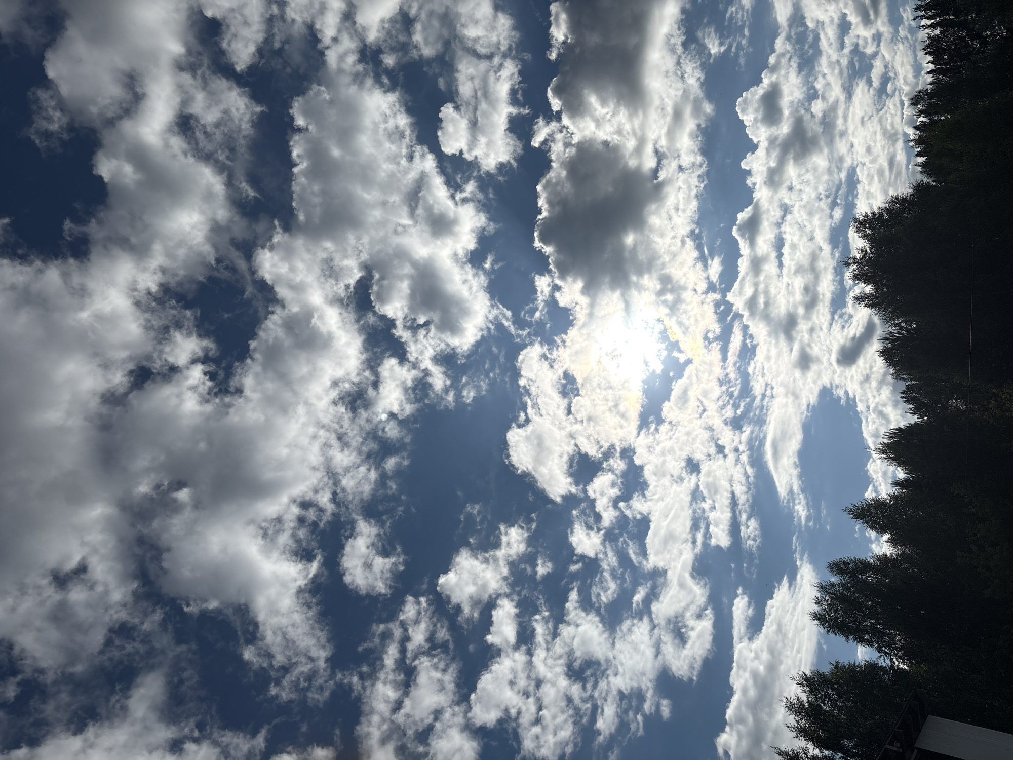 The image captures a dynamic sky filled with a mix of fluffy white and darker gray clouds against a deep blue backdrop. The sun is partially obscured by a cloud, creating a bright, diffused light source. Below the sky, a dense line of dark green trees forms a silhouette against the horizon, suggesting a natural or suburban environment. A sliver of a white structure, possibly part of a building, is visible on the far left. The scene appears to be an outdoor view, likely taken during daylight hours. The location is identified as Sulmash, Russia.