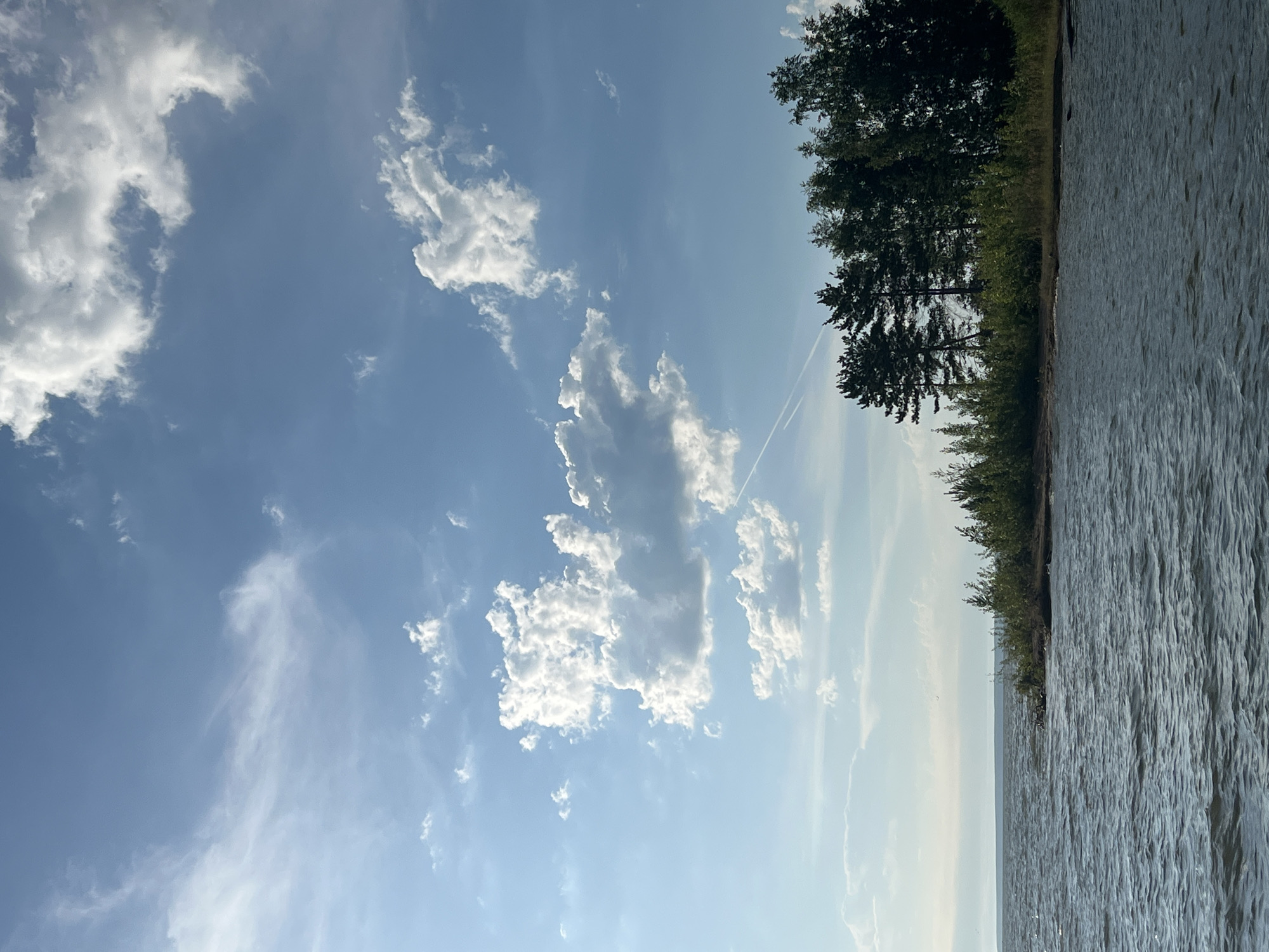 This is a wide shot of a body of water and a treeline under a partially cloudy sky. The water is a deep blue-gray and has small ripples on its surface, suggesting a light breeze. The treeline is thick and diverse, with varying shades of green from the leaves of the trees and bushes. Several tall, dark green pine trees stand out in the middle of the treeline. The sky is a bright blue, with white, fluffy cumulus clouds scattered across it. There is a faint contrail visible in the upper right quadrant of the sky. The location is Borovoe, Russia.