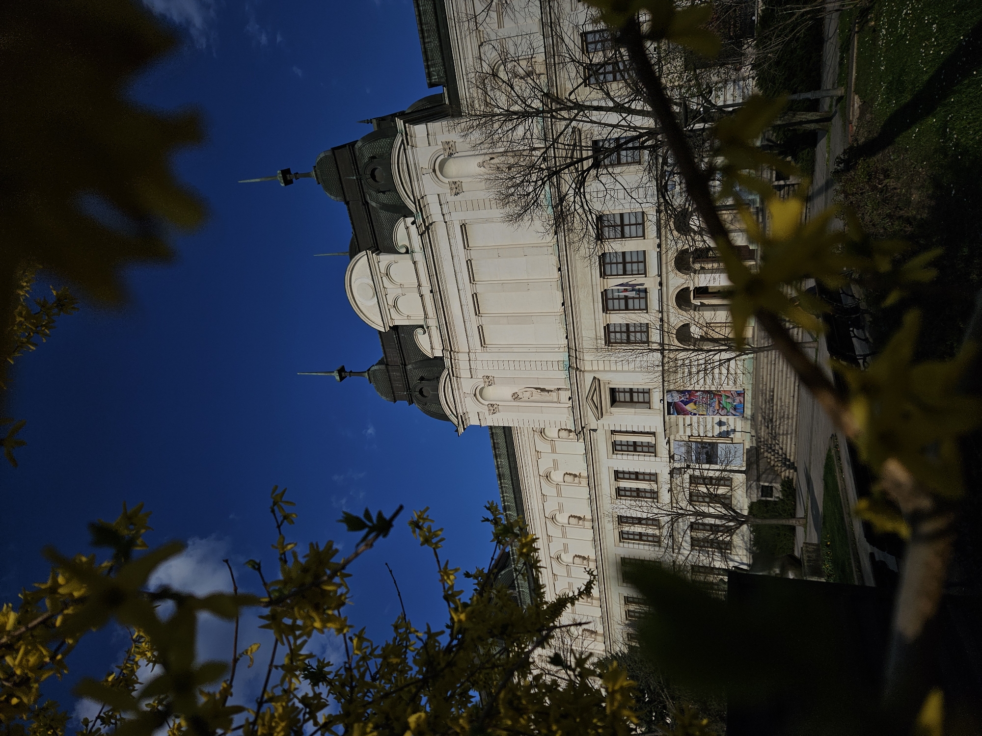The image shows the National Art Gallery in Sofia, Bulgaria, taken from a low angle. The architectural details of the building are visible, including its ornate facade, windows, and towers. The sky is a clear blue, partially obscured by blooming yellow forsythia branches in the foreground. A few bare tree branches are seen against the building. Part of a sidewalk and grassy area appear to the right of the building.