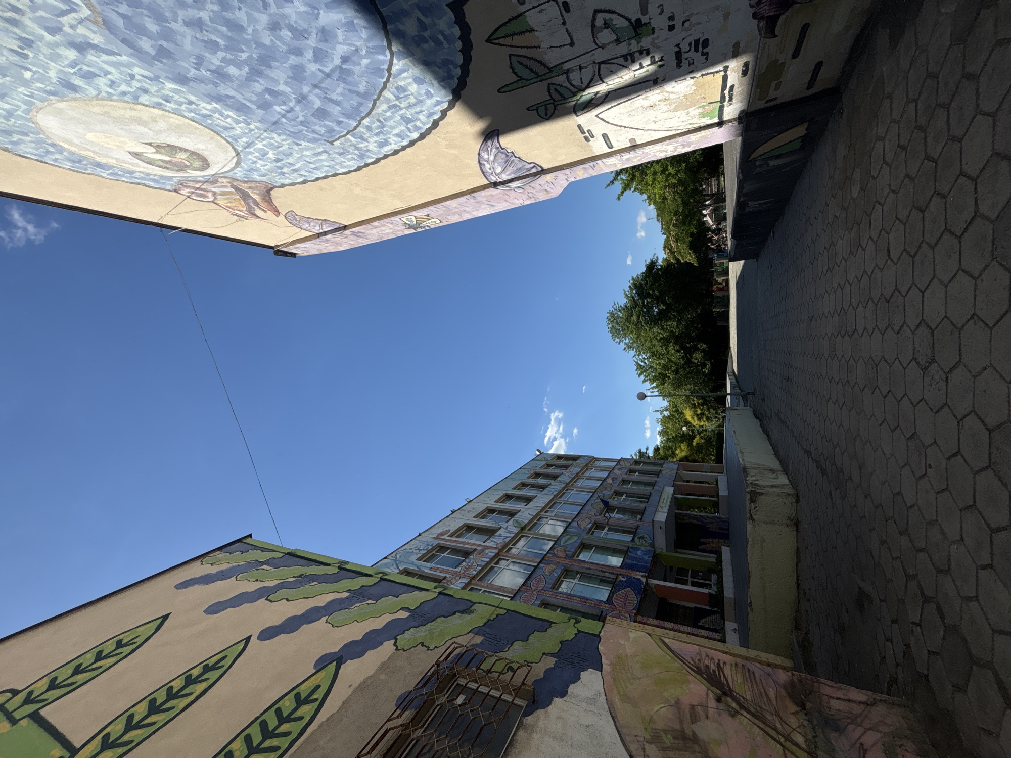 An exterior, eye-level, medium shot captures a wide-angle view of a paved walkway between two buildings adorned with murals. The sky is a clear, vibrant blue with scattered white clouds. Sunlight casts shadows on the hexagonal paving stones of the walkway.
On the left, a building is decorated with a mural featuring large green leaf-like shapes and blue vertical stripes. Some windows are visible, with metal security bars on lower levels.
On the right, another building features a large mural of a blue bird with a prominent eye. Parts of the bird's body and beak are visible. The building's facade is painted a light tan color.
In the distance, a line of trees forms a backdrop. A few people are visible walking or riding bicycles on the walkway, further down, near the trees. A single lamppost is visible on the right side of the walkway in the background. A thin wire stretches across the sky, connecting the two buildings. The scene appears to be set in a public outdoor space, possibly a schoolyard or park.