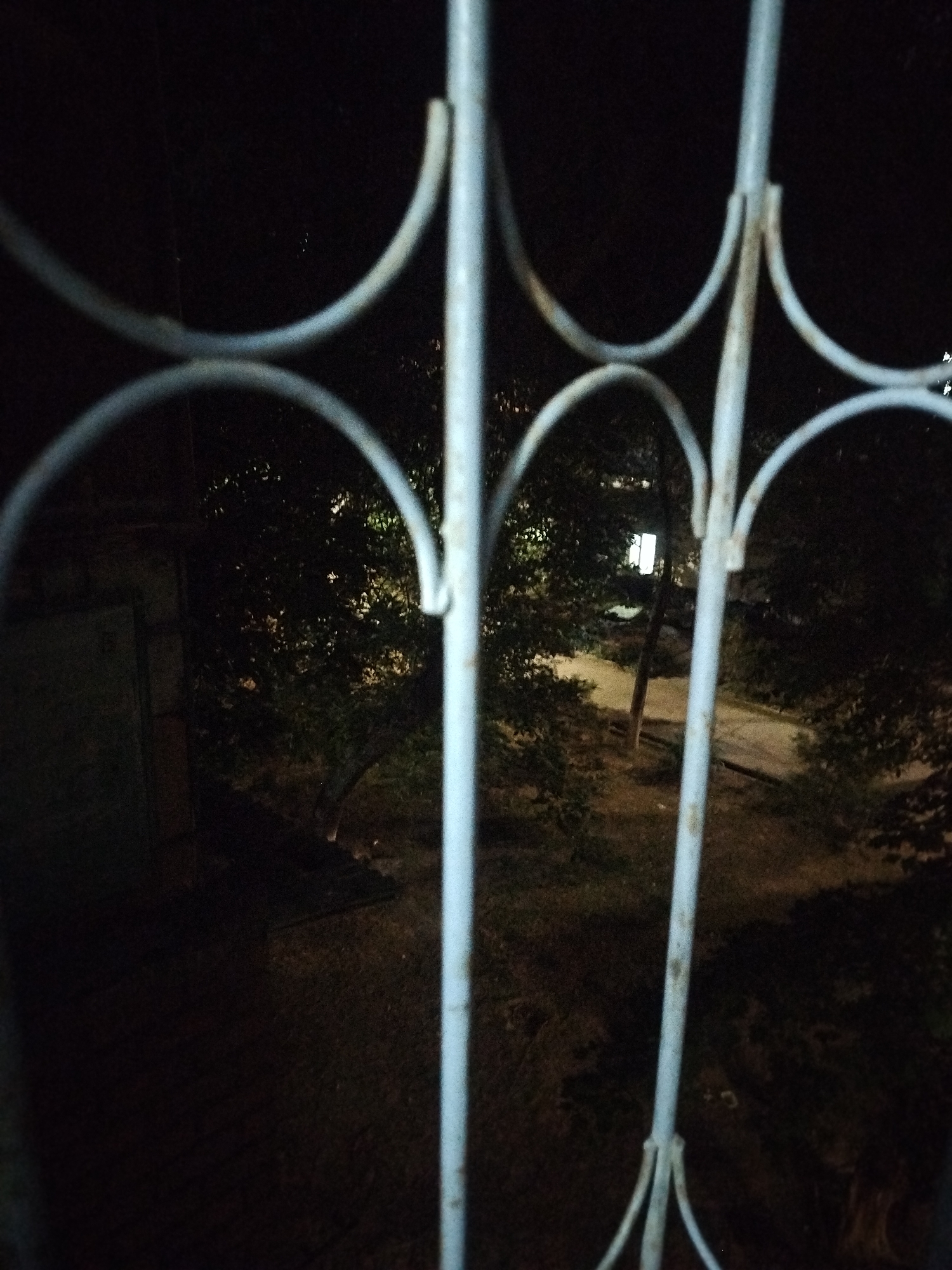 The image shows a view through a metal fence or gate at night. The fence has vertical bars and decorative curved elements. Beyond the fence, there is a dark outdoor area with trees and some ground visible. In the background, a window with a light on is visible, suggesting a building is nearby. The overall scene is dimly lit, typical of an outdoor area at night. The image is taken in Tashkent, Uzbekistan.