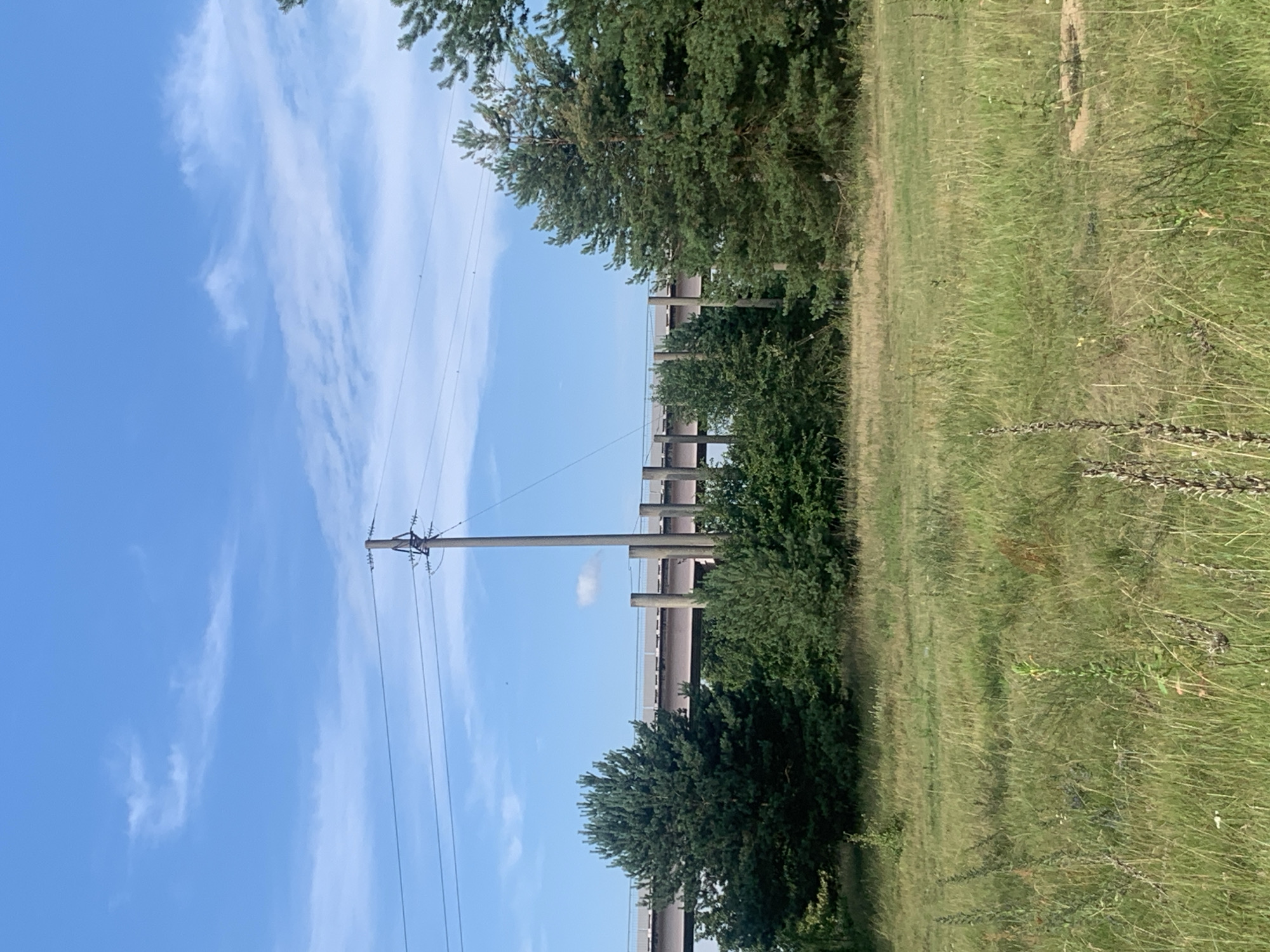 This image captures a rural landscape with a bridge spanning across the horizon under a bright blue sky with scattered white clouds. In the foreground, a field of tall, dry grass is visible, interspersed with some green vegetation. To the right of the frame, a large pine tree stands prominently. Behind the field and trees, a concrete bridge supported by columns stretches across the scene. A tall utility pole with electrical wires runs across the top of the image. The environment appears to be undeveloped, likely a rural or natural area. No people or animals are present in the scene. The location is in the Orlevsky Selsovet, Belarus.