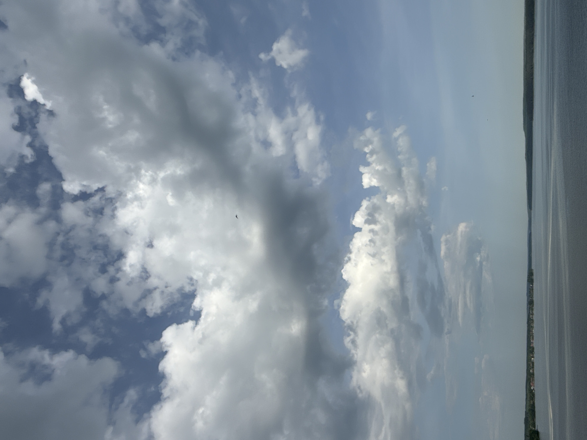 The image shows a vertical view of a sky filled with cumulus clouds, ranging from bright white to dark gray, against a blue sky background. A body of water, likely a river or lake, is visible on the right side of the frame. A thin strip of land with trees is visible on the horizon. Based on the prompt, it is implied that this scene is in or near Votkinsk, Russia. There are birds flying across the sky.