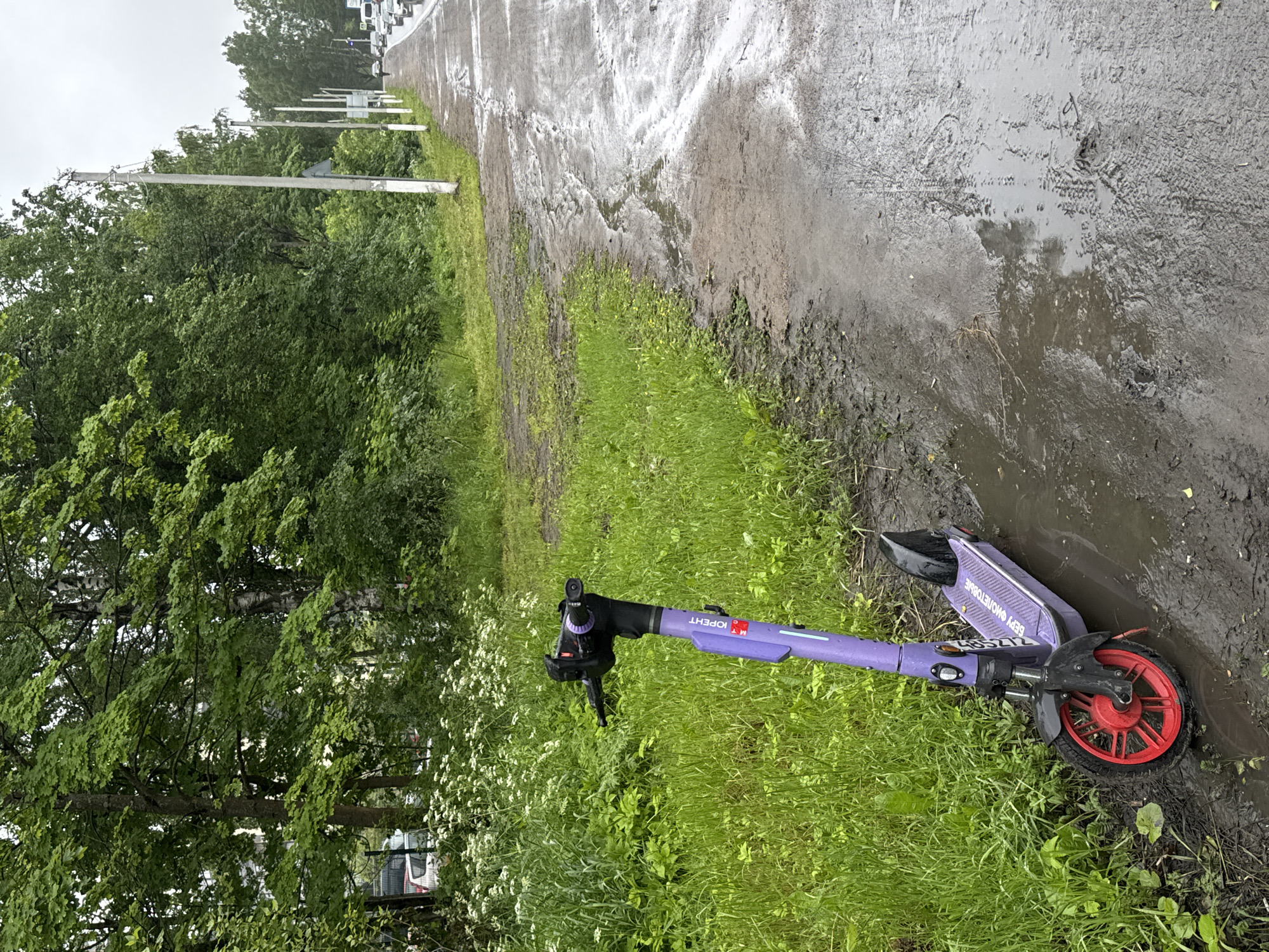 The image captures a purple electric scooter standing upright in a muddy puddle on the side of a wet paved road. The scooter is positioned to the left of the frame, facing slightly away from the viewer. It has a black handlebar, a black front fender, and a red wheel on the front. The scooter's deck is purple with some white lettering. To the left of the scooter, there is a patch of lush green grass interspersed with white wildflowers. Beyond the grass, a dense line of trees forms the background, with some buildings partially visible through the foliage on the far left. The road to the right of the scooter is wet and reflects the overcast sky. Tire tracks are visible in the mud on the road. In the distance, several cars are driving on the road, and utility poles line the side of the road. The overall atmosphere suggests an outdoor, possibly urban or suburban environment, after a period of rain.