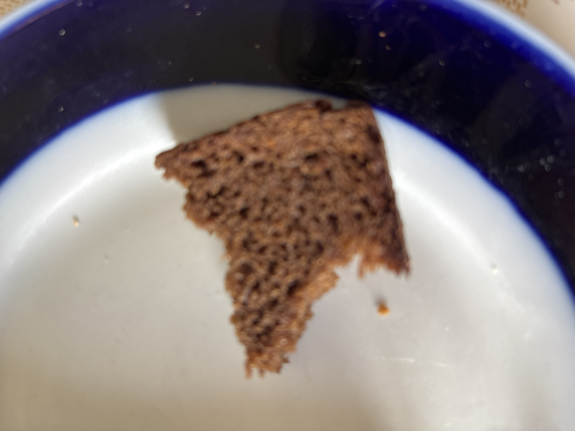 A close-up, overhead shot captures a fragment of dark-colored bread on a white plate with a blue rim. The bread is irregularly shaped, with jagged edges suggesting it was broken off from a larger piece. The texture of the bread appears dense and slightly crumbly. The plate is clean, with no visible residue or other food items. The lighting is natural, casting soft shadows on the plate. The background is blurred, but appears to be a light-colored surface, possibly a tablecloth or countertop. The scene does not contain any identifiable landmarks or features that would indicate a specific location in Bila Tserkva, Ukraine.