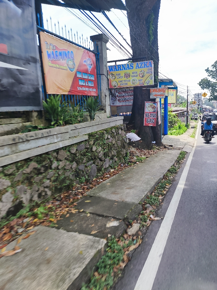 The image shows a street corner in Ciwidey, Indonesia, taken from the perspective of a pedestrian on the sidewalk. The street is asphalt and is bordered by a sidewalk on the left. The sidewalk is lined with green plants, dry leaves, and rocks. There is a stone wall with a wooden railing and a fence on the left side of the sidewalk. Several signs are attached to the fence and wooden railing. There is a large tree in the middle of the scene, with its trunk on the sidewalk. The street continues beyond the image to the right, where there is a motorcycle in the distance. The tree trunk is covered in foliage and branches. The sidewalk is made of concrete and is partially shaded by the tree. There is a white painted line separating the sidewalk and the road. There is a sign in the middle of the scene that says "Mie Ayam Bakso." On the left side of the frame, there is a large sign that says "Warminco" and has a picture of a bowl of food on it. Another sign on the right side of the frame says "Warnas Azka." There is a blue and white sign on a post. There are wires running above the scene. The scene is under a partly cloudy sky.