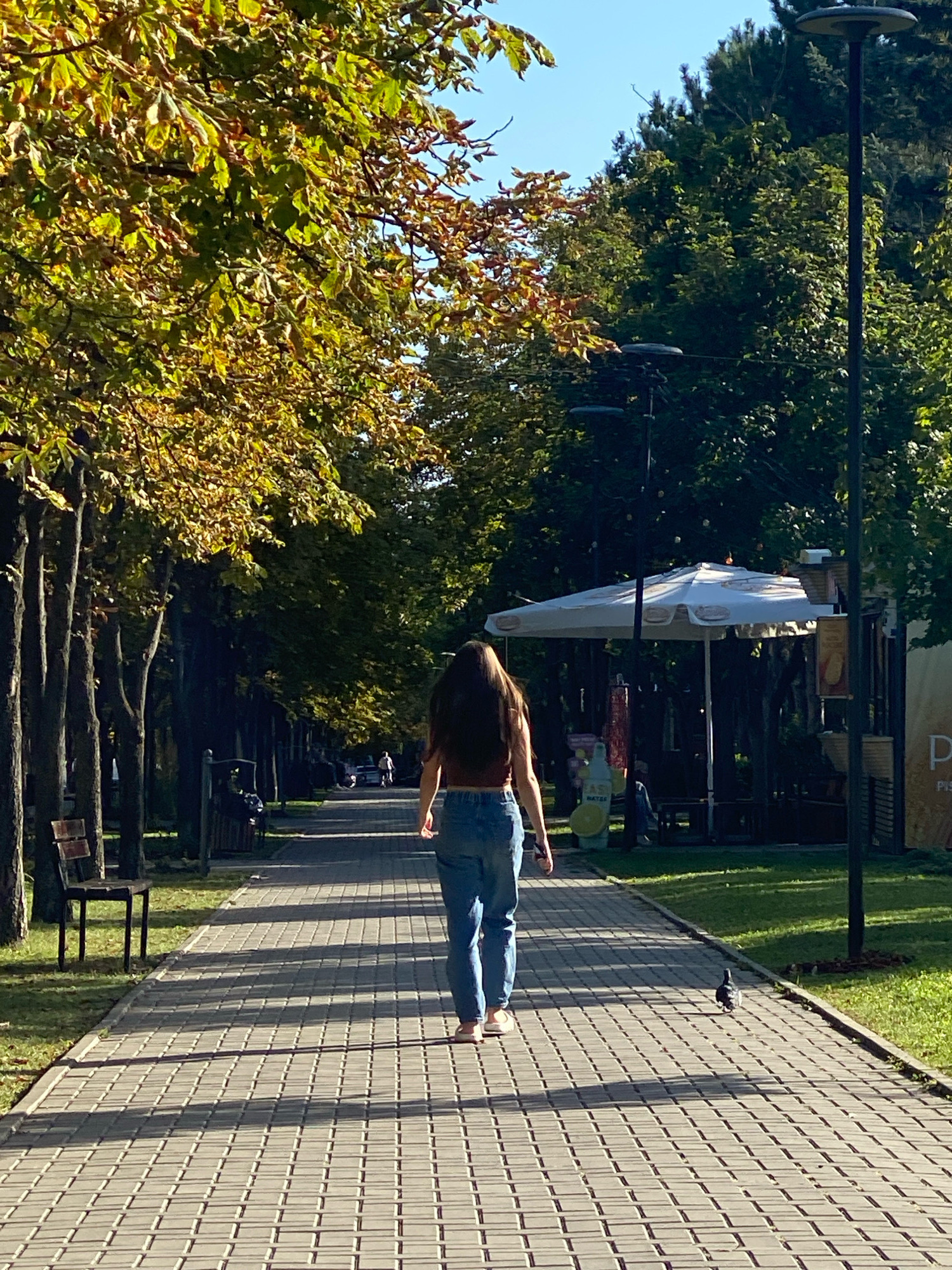 A lone person walks down a paved pathway in a park-like setting in Chișinău, Moldova. The person, seen from behind, wears a dark red crop top and light blue jeans. The pathway is bordered by trees on both sides, with some showing autumn foliage. Sunlight casts long shadows across the path. To the right, there is a streetlamp and a small kiosk with a white umbrella. A pigeon is visible on the pathway ahead of the person. Benches are present along the left side of the path. The sky is clear and blue.