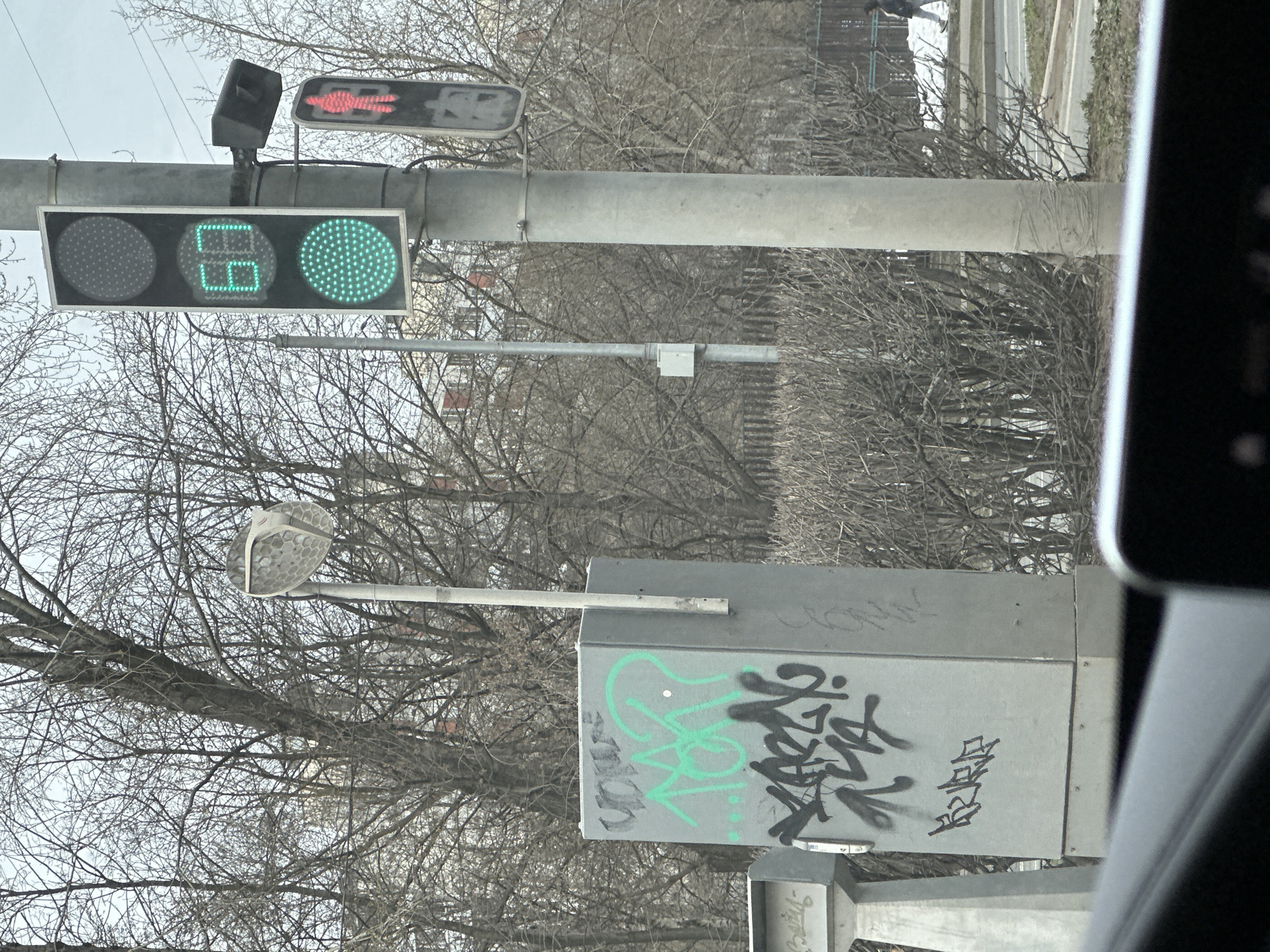 The image shows a traffic signal in Moscow, Russia. The signal displays a green light for traffic and a red pedestrian signal. The digital countdown timer shows "65" seconds remaining. The signal is mounted on a gray pole, and a gray metal electrical box is attached to the pole with graffiti on it. Bare trees fill the background. The image was likely taken from inside a vehicle.