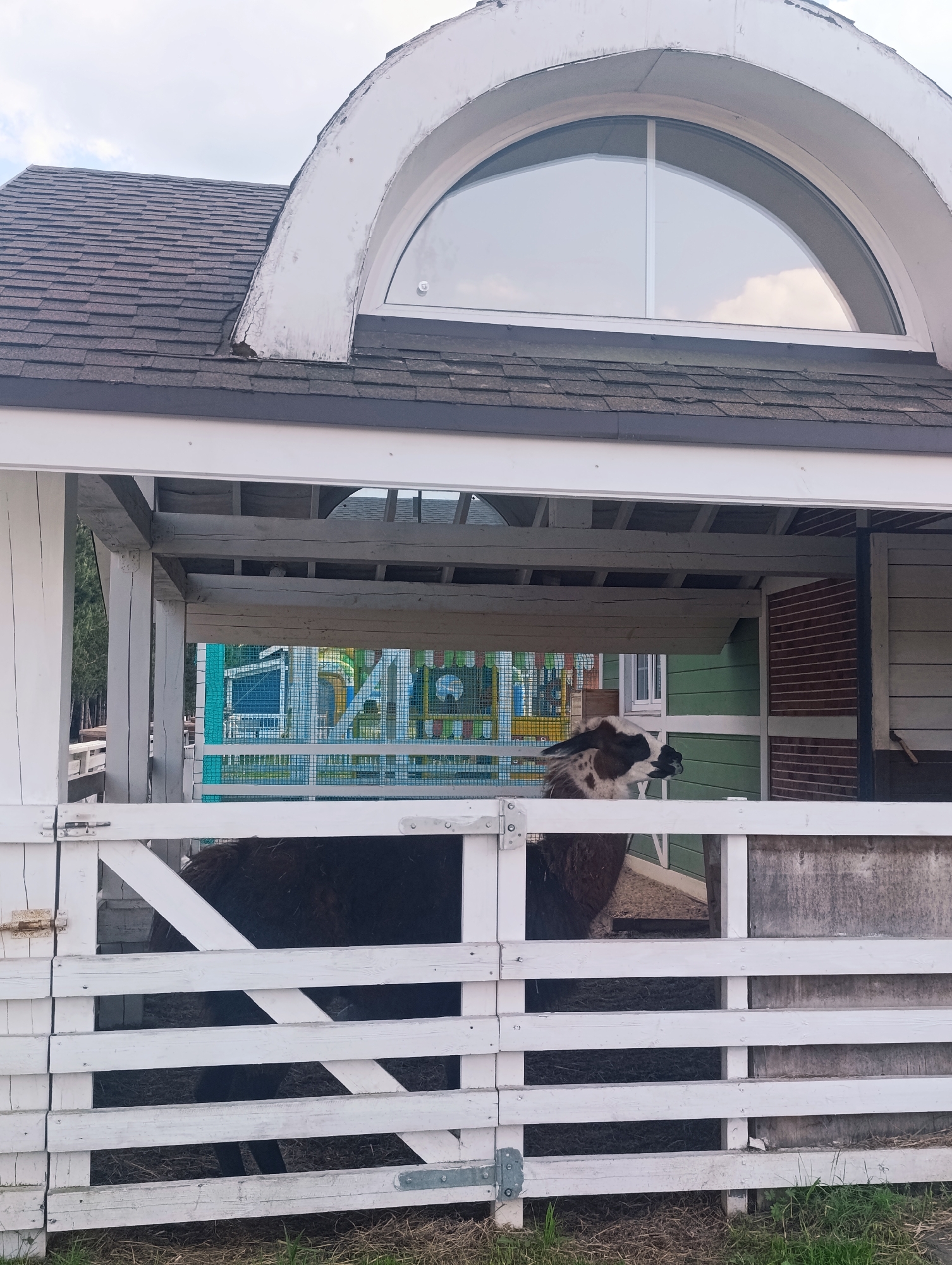 The image shows an alpaca inside a white wooden enclosure, possibly a small barn or shelter, in Ivanovskoe, Russia. The shelter has a brown shingled roof with a prominent white arched window. Behind the enclosure, there's a colorful playground structure visible through an opening in the shelter. The alpaca has brown and white fur, and the ground inside the enclosure is covered with dark material, likely hay or straw. The sky is overcast.