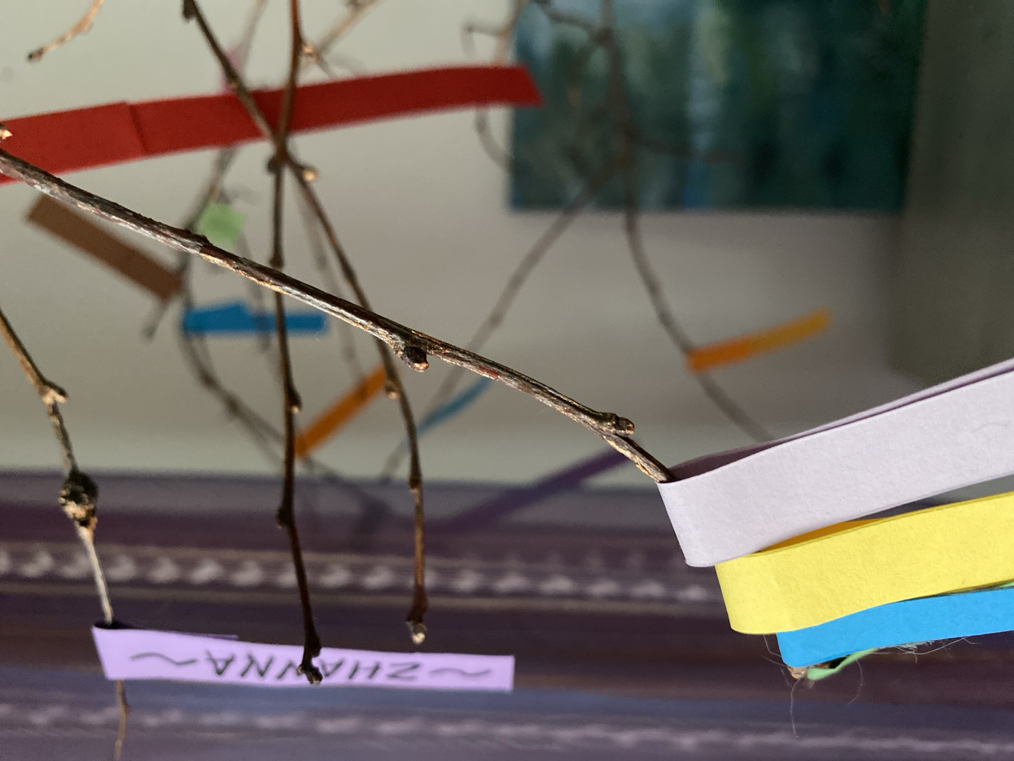 The image shows a close-up of tree branches with colorful paper strips hanging from them. One purple strip on the left has the handwritten word "ZHANNA" and a wavy line. Further to the right, other paper strips in colors like red, blue, yellow, and orange are visible. In the background, a blurred painting or artwork with blue and green hues can be seen. The scene appears to be indoors, possibly a home or a community space, given the soft lighting and the presence of decorative elements. There is no indication that this image is located in the city of Bílina, Czechia.