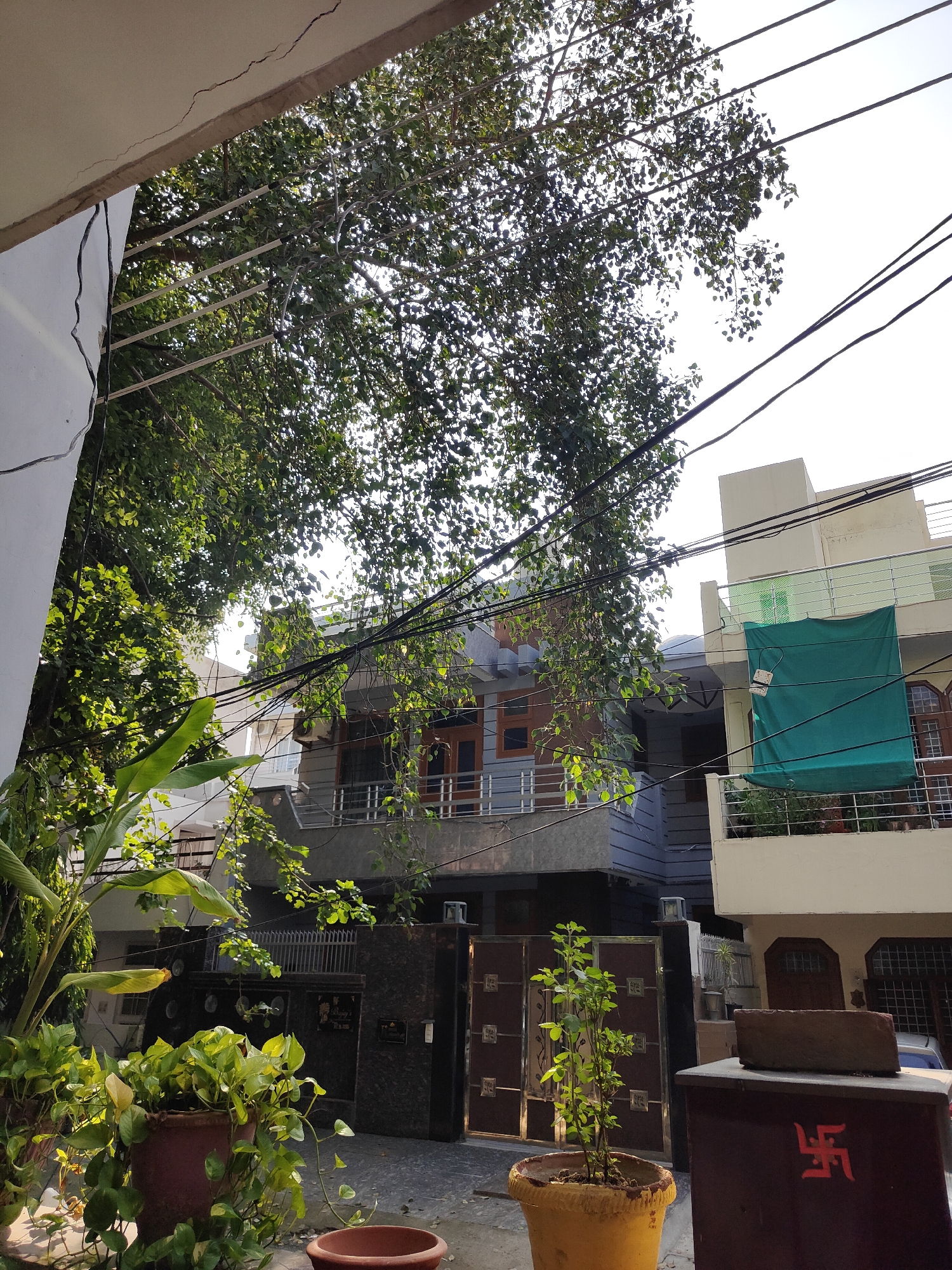 The image depicts an outdoor scene in Gurgaon, India, featuring a residential area with multiple houses, dense foliage from a large tree, and a network of overhead electrical wires. In the foreground, potted plants are visible, including a lush green plant in a brown pot and another smaller plant in a yellow pot. A brick rests on a dark brown rectangular object adorned with a red swastika symbol. Behind the plants, a gate made of metal panels with decorative squares leads to a property. To the right, a modern building with balconies and a green tarp covering an upper section is visible. To the left, another house with a balcony and wooden-framed windows is partially obscured by the tree's branches. The sky is bright and hazy, suggesting daylight. The overall impression is a densely populated urban environment with abundant greenery.