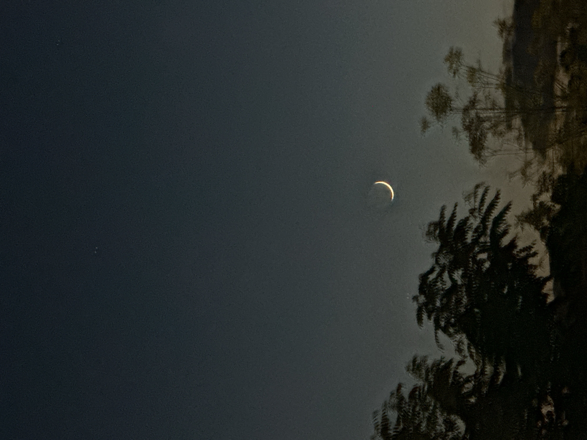 A crescent moon hangs in the dusky sky, partially obscured by the silhouettes of trees. The moon is positioned in the upper right quadrant of the image, with its illuminated curve facing right. The sky is a gradient of deep blue to lighter gray, suggesting the twilight hours. In the foreground, the dark forms of trees dominate the lower portion of the frame, their branches reaching upwards. The overall scene is peaceful and natural, with no signs of human presence. The image was captured in the city of Sofia, Bulgaria.