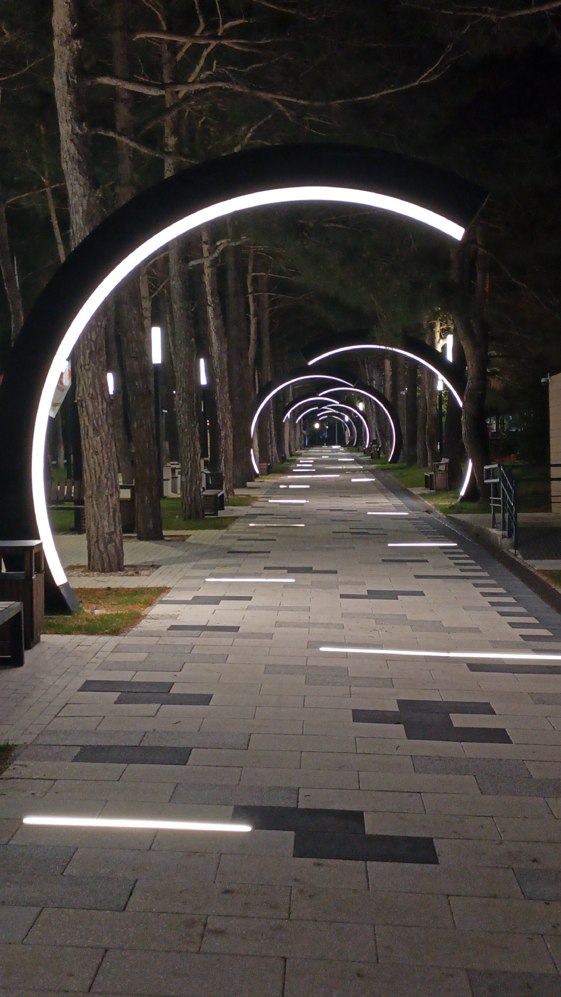 The image captures a nighttime view of a pedestrian walkway located in Kabardinka, Russia. The walkway is lined with tall trees along both sides, forming a natural tunnel-like effect. Arched lighting fixtures are spaced periodically along the walkway, illuminating the path with a soft, white glow. Additional vertical light posts are situated among the trees. The walkway itself is paved with rectangular stones in alternating light and dark grey shades, with linear recessed lighting elements running along its surface. The scene is calm and well-lit, suggesting a safe and inviting public space. No people are prominently visible in the image.