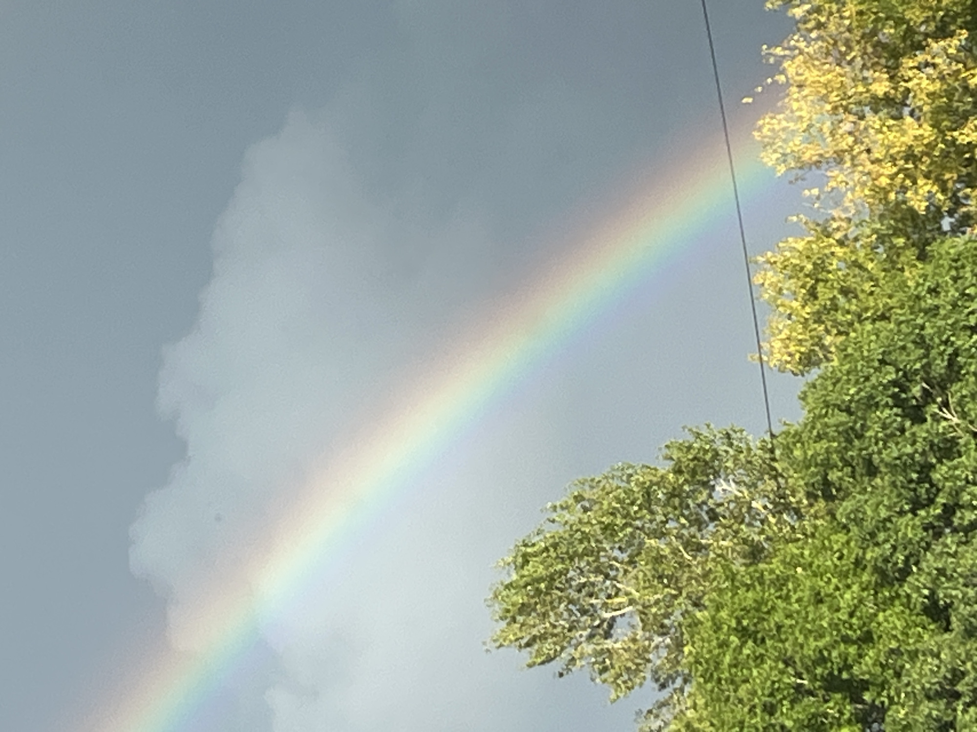 A rainbow arches across a grey, cloudy sky above a line of trees. The trees in the foreground are lush green, with some hints of yellow foliage. The rainbow is visible as a spectrum of colors, most prominently red, orange, yellow, and green, fading into the sky. The scene appears to be outdoors, possibly in a park or residential area. There are no people or animals visible in the image. The image is a photograph, likely taken during daylight hours. The sky suggests it may have recently rained or is about to rain. The location is Kohtla-Järve linn, Estonia.