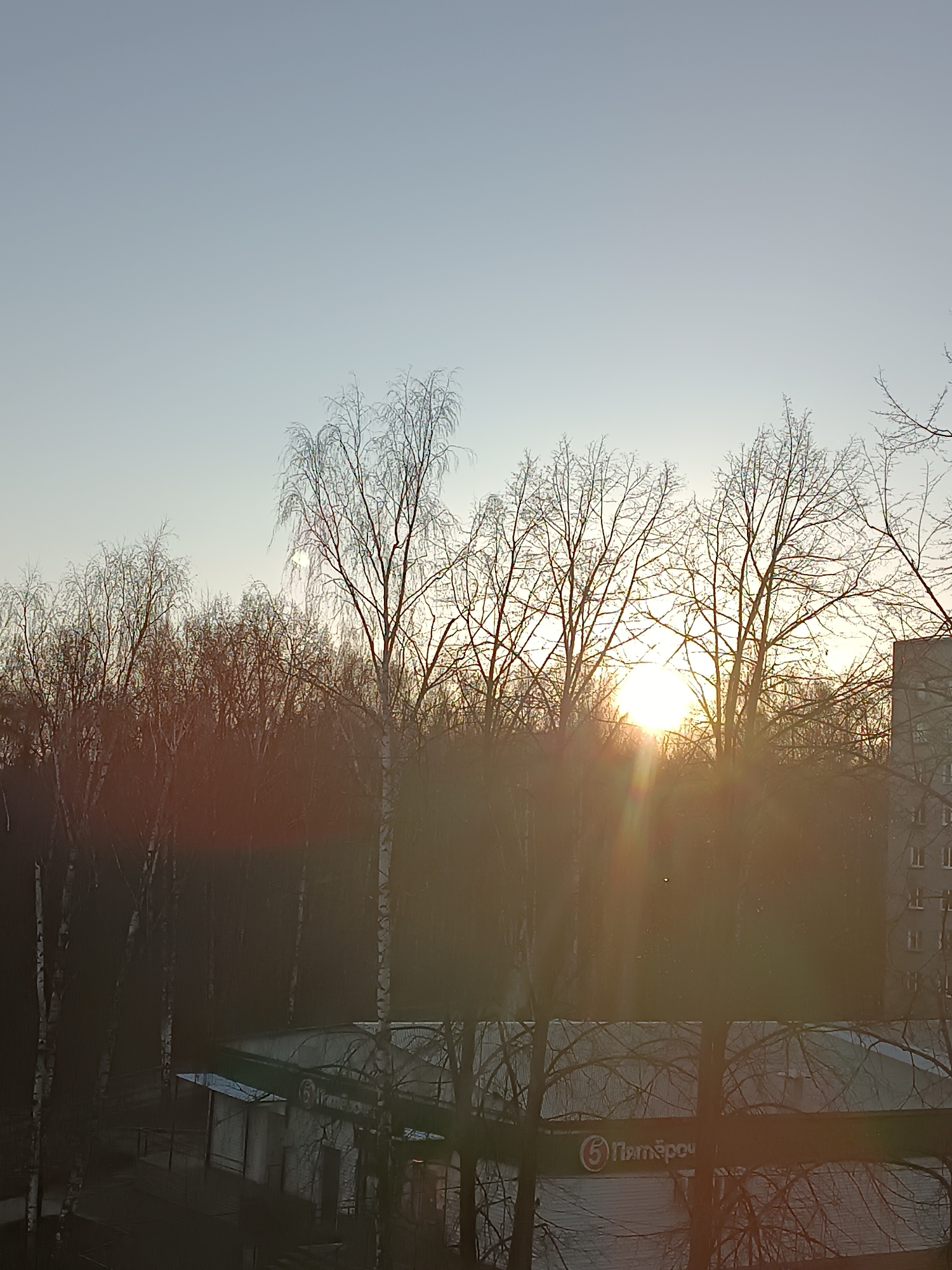 The image shows a sunrise in Chaikovsky, Russia. The sun is partially obscured by a line of bare trees, casting rays of light through the branches. A building with the logo of "Pyaterochka" (a Russian grocery store chain) is visible in the lower portion of the image, indicating this is an urban or suburban setting. A multistory building is also partially visible on the right of the frame. The sky is a light blue, indicating it is early morning.