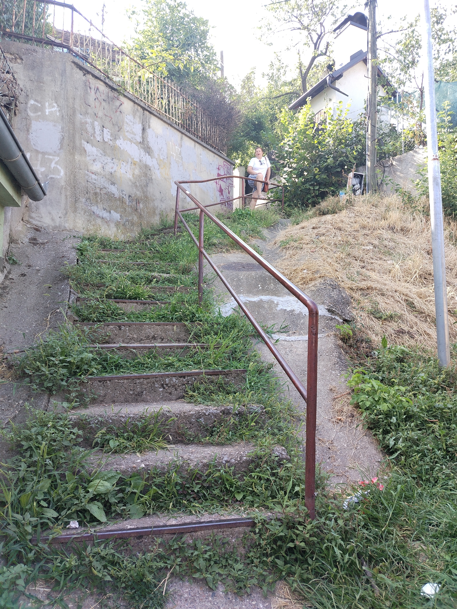 This is an outdoor, eye-level, full shot of an overgrown stone staircase. The staircase has a rusty metal handrail running down the left side. The steps are partially covered in grass and weeds. A woman in a white t-shirt and shorts is standing at the top of the stairs, leaning on the handrail. She is looking at the camera. Behind her, a white house with a dark roof is visible, nestled among trees. The scene appears to be in a rural or suburban setting, possibly a hillside. The time of day seems to be late afternoon or early evening, indicated by the warm lighting and long shadows. The weather appears to be sunny and warm.
The wall to the left of the stairs has graffiti on it, some of which is illegible. There is also a gutter running along the top of the wall. The ground to the right of the stairs is covered in dry grass and some green vegetation. A utility pole with wires is visible on the right side of the image. The overall impression is one of a slightly neglected but picturesque outdoor space.