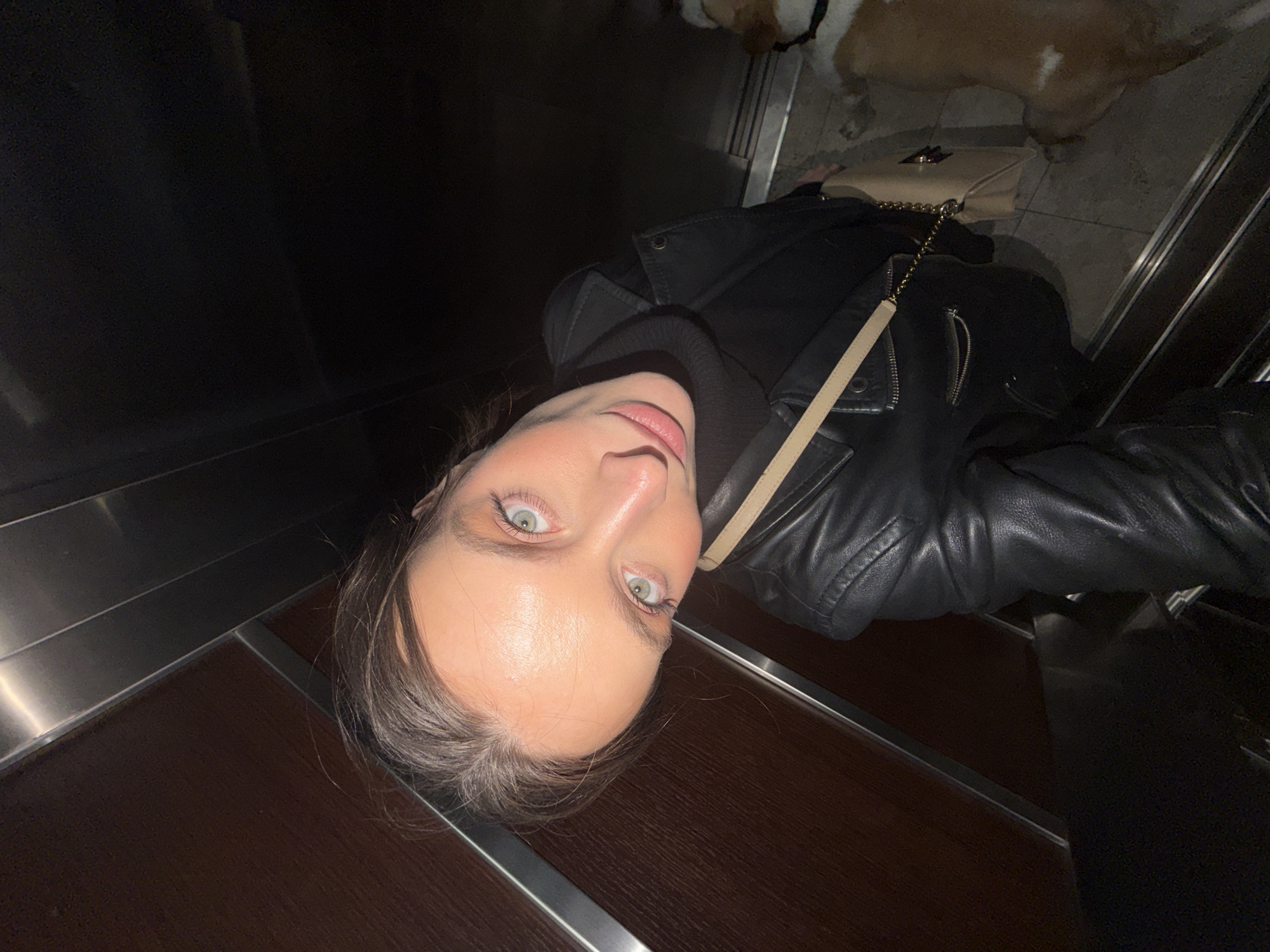 A female subject and a dog are depicted inside an elevator. The female, positioned towards the left-center, has light-colored eyes and brown hair, and is wearing a black leather jacket over a black turtleneck sweater. She holds a beige shoulder bag with a gold chain strap. She is taking a selfie, looking directly into the camera with her head tilted. To her right, partially visible, is a brown and white dog wearing a dark collar. The elevator interior features dark wood-paneled walls on the left and dark metallic walls with horizontal ridges on the right. The floor is dark with metallic trim. This scene is located within an elevator in the city of Budva, Montenegro.