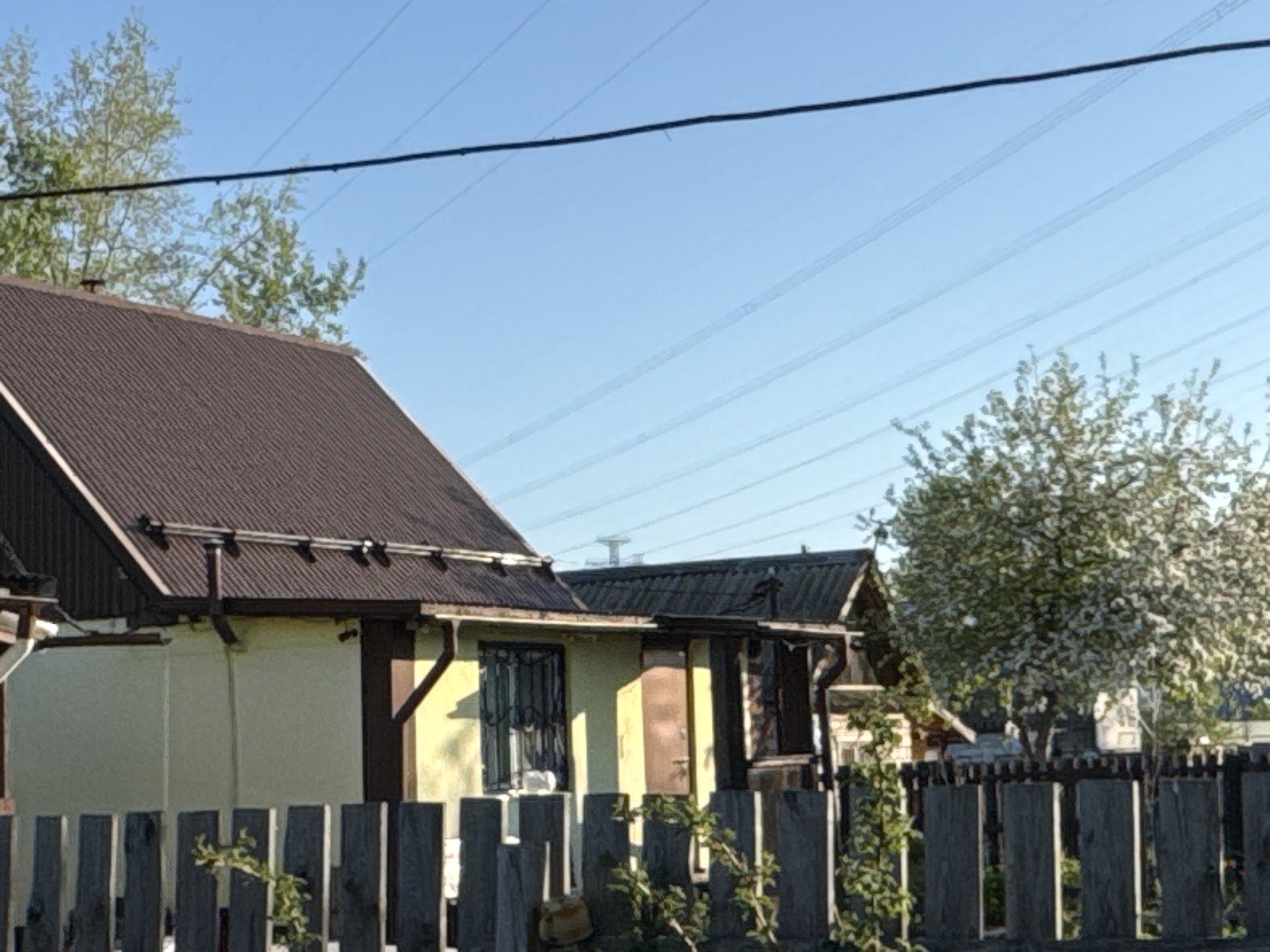 The image shows a view of a residential area in Chaikovsky, Russia. A wooden fence runs across the foreground, partially obscuring two houses. The house on the left is light yellow with a dark brown roof and dark brown trim around windows and eaves. The house to the right has a dark roof. A flowering tree is visible behind the fence on the right side of the image. Above, numerous power lines stretch across a clear blue sky.