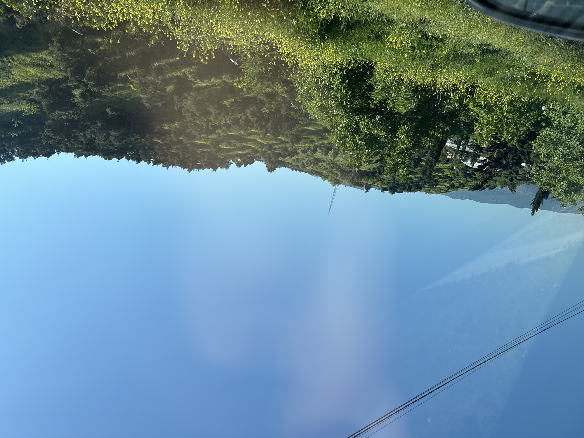 The image shows a view from a moving vehicle in Tbilisi, Georgia. The sky is blue with some clouds. A hill with trees and yellow flowers is visible. A radio tower can be seen on the hill. The window of the vehicle is partially visible, with power lines running across the lower portion of the frame.