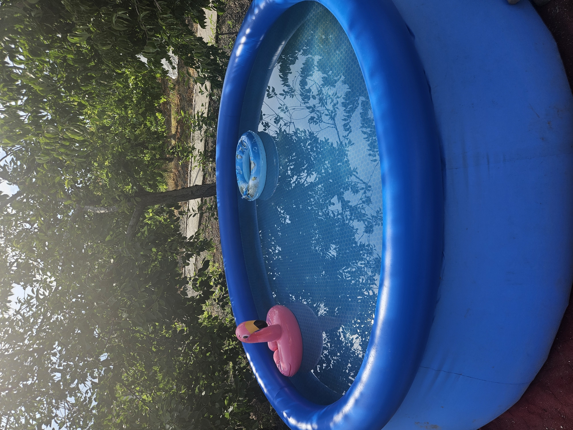 An inflatable blue swimming pool is situated outdoors, likely in a residential area, given the presence of trees and foliage. The pool contains clear blue water and is accessorized with two inflatable toys: a pink flamingo and a blue ring with a fish pattern. The sunlight filters through the leaves of the surrounding trees, casting dappled shadows on the water. The ground around the pool appears to be a mix of dark red surface and gravel. The background shows more trees and a hint of a path or road. This scene suggests a warm, possibly summer day, with the pool set up for leisure activities. The location is identified as Jrashen, Armenia.