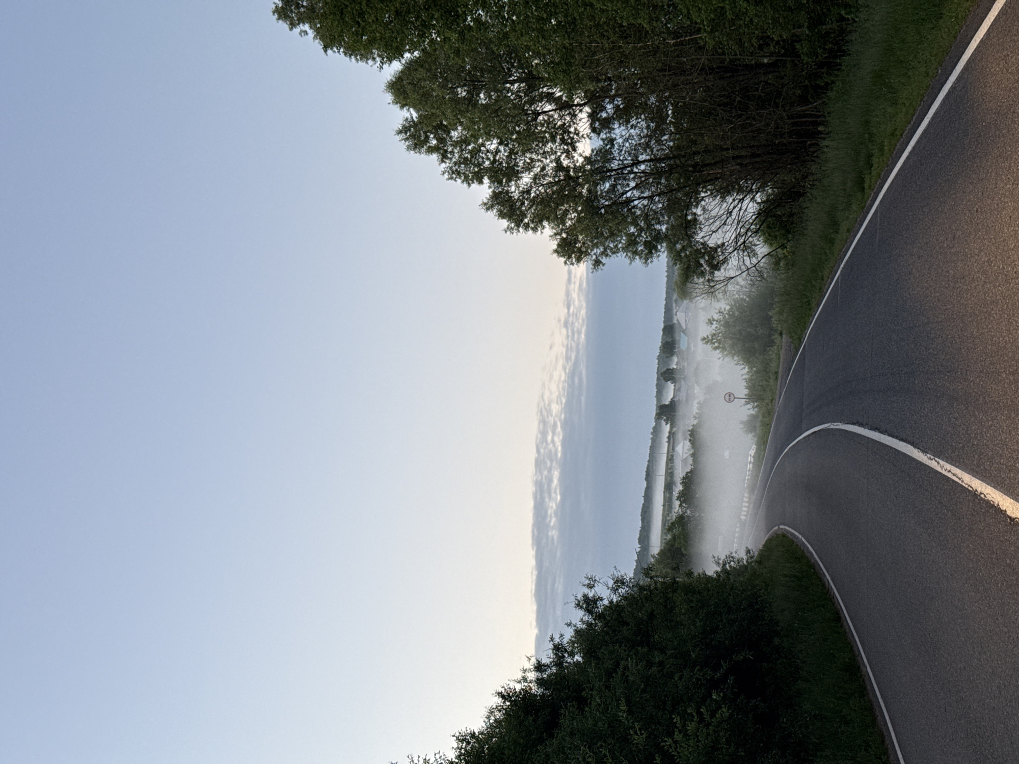 The image depicts a winding asphalt road in the city of Уральское, Russia, under a pale blue sky at what appears to be dawn or dusk. Dense green foliage flanks both sides of the road, with taller trees on the right. In the distance, a low-lying mist blankets a village or settlement, obscuring some of the houses and trees. A circular traffic sign with a red border and a white background is visible on the right side of the road near the mist. The road itself is marked with white lines. The scene is serene and devoid of human presence.