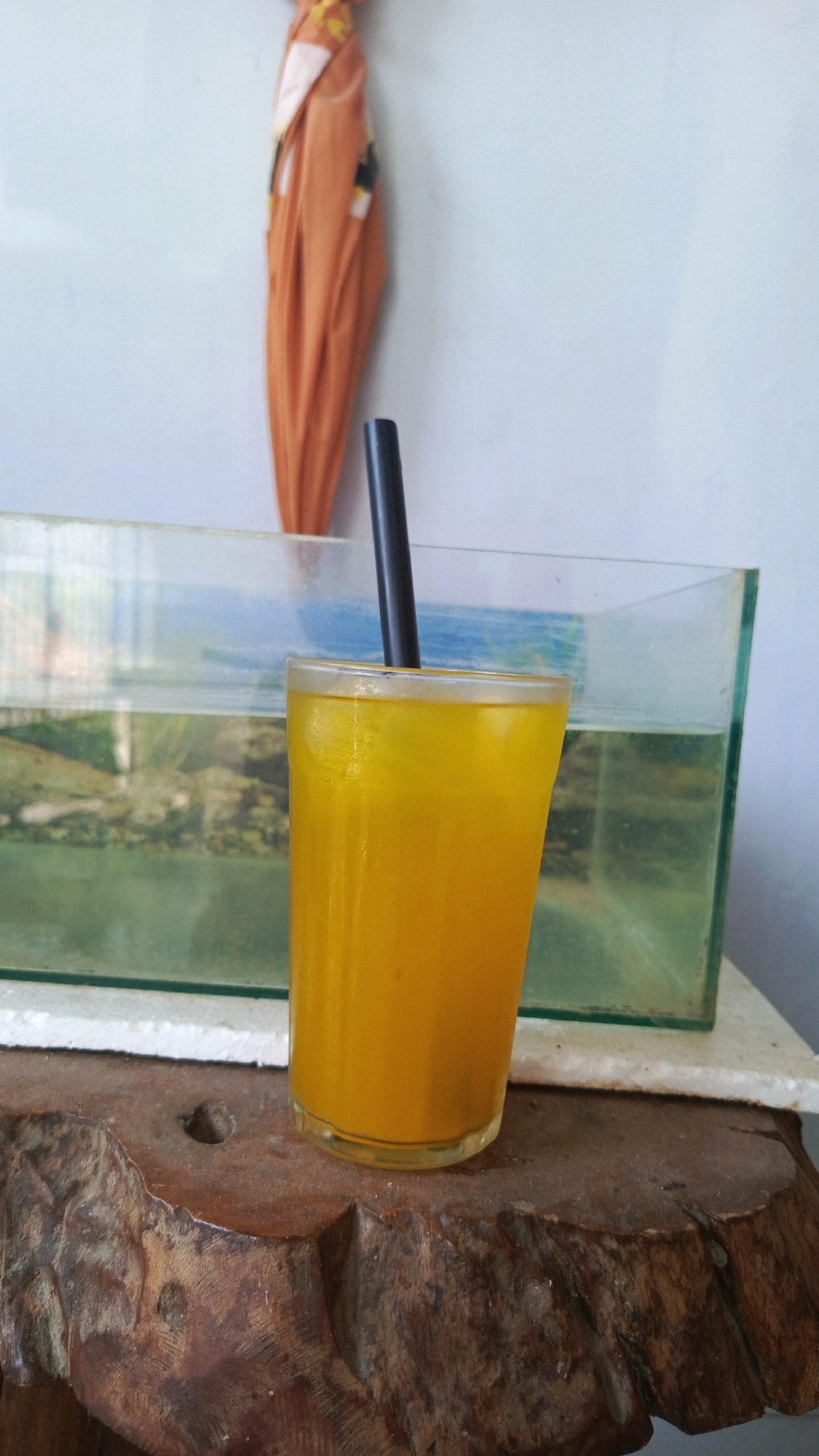 A clear glass filled with a bright orange beverage sits on a rustic wooden surface. A black straw protrudes from the drink. Behind the glass, a rectangular glass aquarium contains water and a landscape image. Further back, an orange fabric item is draped vertically against a light blue wall. The scene is set in the city of Babadan, Indonesia.