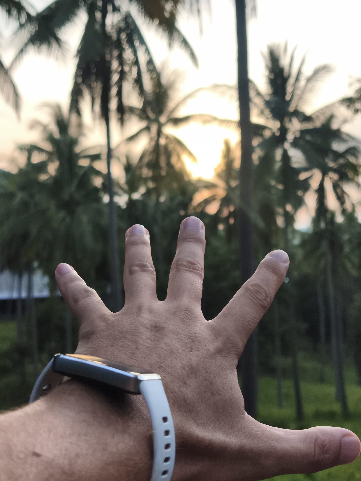 A first-person perspective photo depicts a hand with a fitness tracker outstretched towards a grove of coconut trees silhouetted against a bright, hazy sunset. The scene appears to be set in a lush, tropical environment, potentially the location of บ้านบางรักษ์, Thailand, based on the presence of coconut palms and the likely Southeast Asian setting. The lighting indicates it is either dawn or dusk. The subject’s hand is in the foreground, with an open palm. The fitness tracker is visible on the wrist, suggesting the photo was taken as a personal record of the location.