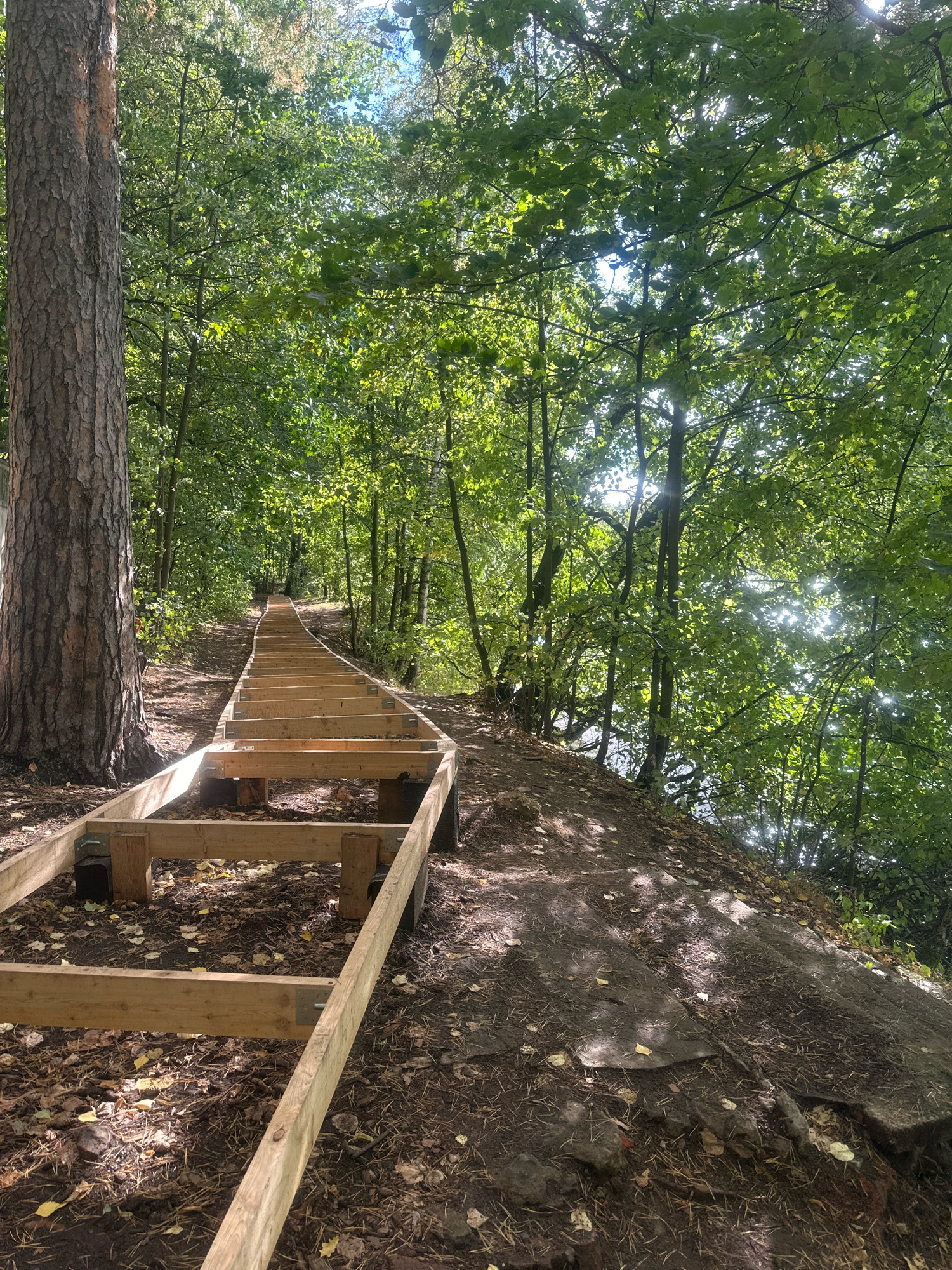 The image shows an outdoor scene in a forest setting. A wooden staircase, still under construction, ascends a gentle slope. The staircase is made of unpainted lumber and is supported by wooden posts and metal brackets. The ground around the staircase is covered with dirt, fallen leaves, and pine needles. Tall trees with green foliage surround the area, and sunlight filters through the canopy, casting dappled shadows. In the distance, the staircase continues upwards into the trees. The scene appears to be a hiking trail or a nature path. The location is identified as being in the city of Khimki, Russia. There are no people visible in the image.