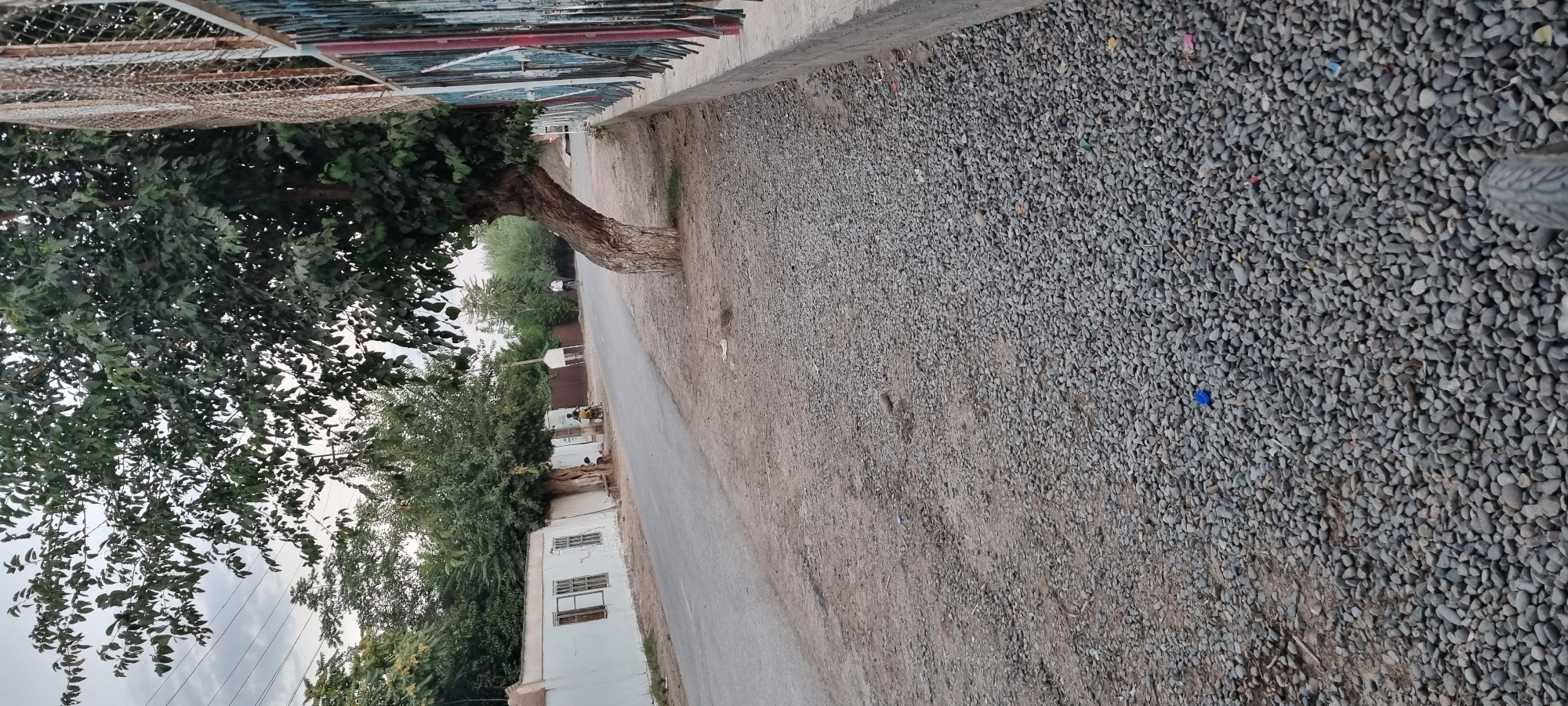 The image depicts a street scene in Хаваскор, Tajikistan. In the foreground, a gravel-covered area with scattered small stones and a few pieces of trash lines a concrete border. A tree with a thick, gnarled trunk leans over the road. To the left, a paved road runs alongside a white, low-rise building with multiple windows. Several people are visible: two individuals, one appearing to be a child sitting on a bench, and another on a motorcycle, are near the building. Further down the road, a person is cycling. On the right side of the image, a section of a fence made of metal bars and mesh is visible. The background shows more trees and foliage, with a cloudy sky overhead.