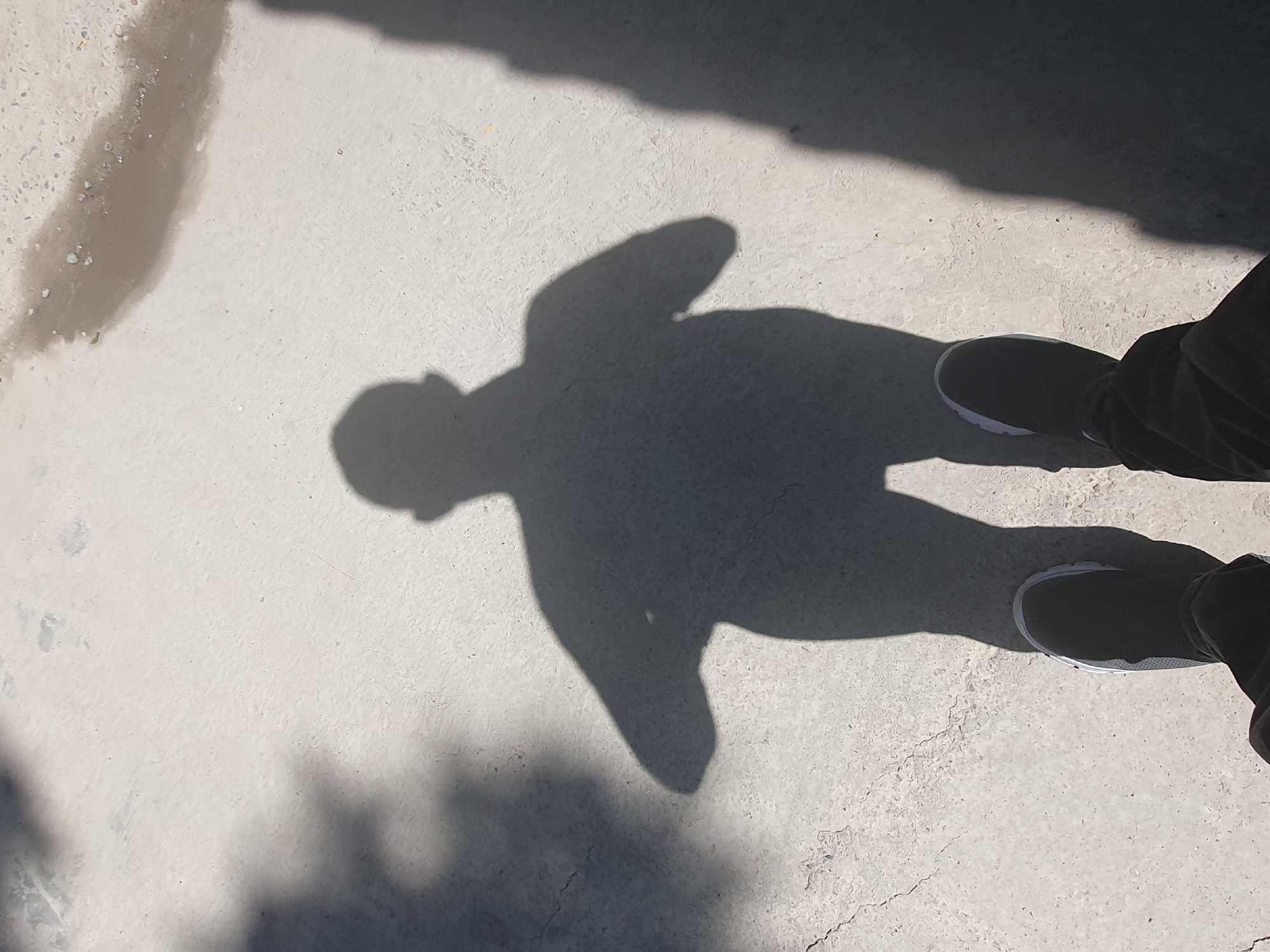 An over-the-head, full-shot image captures the shadow of a person standing on a light-colored, paved surface, possibly a sidewalk or road, in Tashkent, Uzbekistan. The shadow is cast by a person who is out of frame, leaving only their silhouette visible. The shadow depicts the upper body and head, with arms slightly outstretched. The ground is textured with small pebbles and appears dry with some damp patches. The lighting suggests it is daytime, with the sun casting a strong shadow. The image focuses on the ground and the shadow, with hints of other shadows from foliage in the upper left corner. The lower portion of the image shows the feet of the person casting the shadow, wearing dark sneakers with white soles and dark pants. The overall scene is simple and focuses on the play of light and shadow on an urban surface.