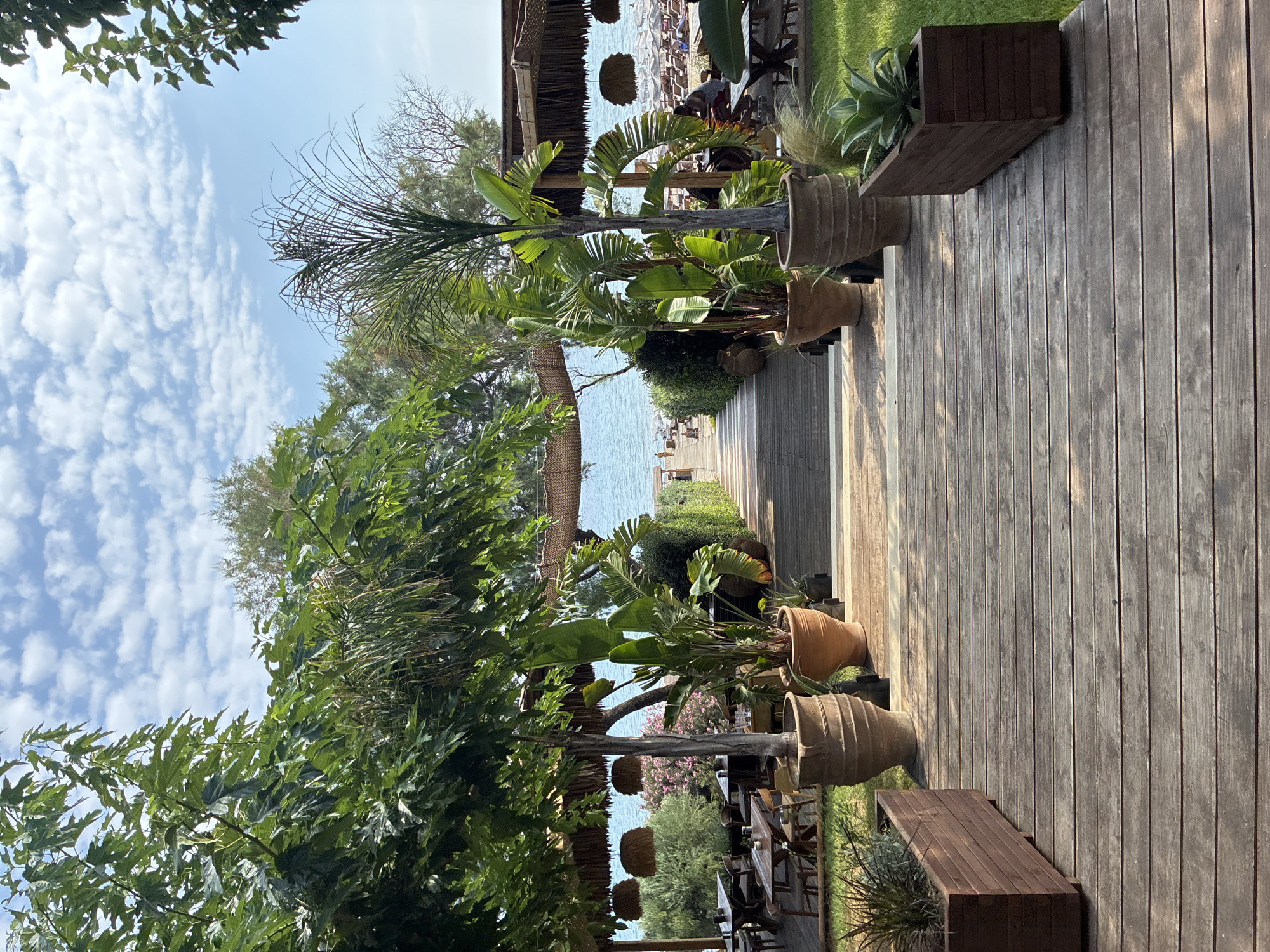 The image depicts a scenic outdoor dining area leading to a beach. A wooden walkway, bordered by lush green plants in large terracotta pots and wooden planters, forms the foreground. The walkway descends towards a beach with loungers and umbrellas, beyond which lies a calm, blue sea. In the background, several people are visible, some seated at tables under thatched-roof structures, while others are on the beach. The sky is partly cloudy with a bright blue expanse. The setting suggests a resort or a beachside restaurant, likely in a coastal Mediterranean location. The specific location within Zakynthos Municipal Unit, Greece, is a beachfront establishment, given the presence of the sea, beach, and outdoor dining facilities.