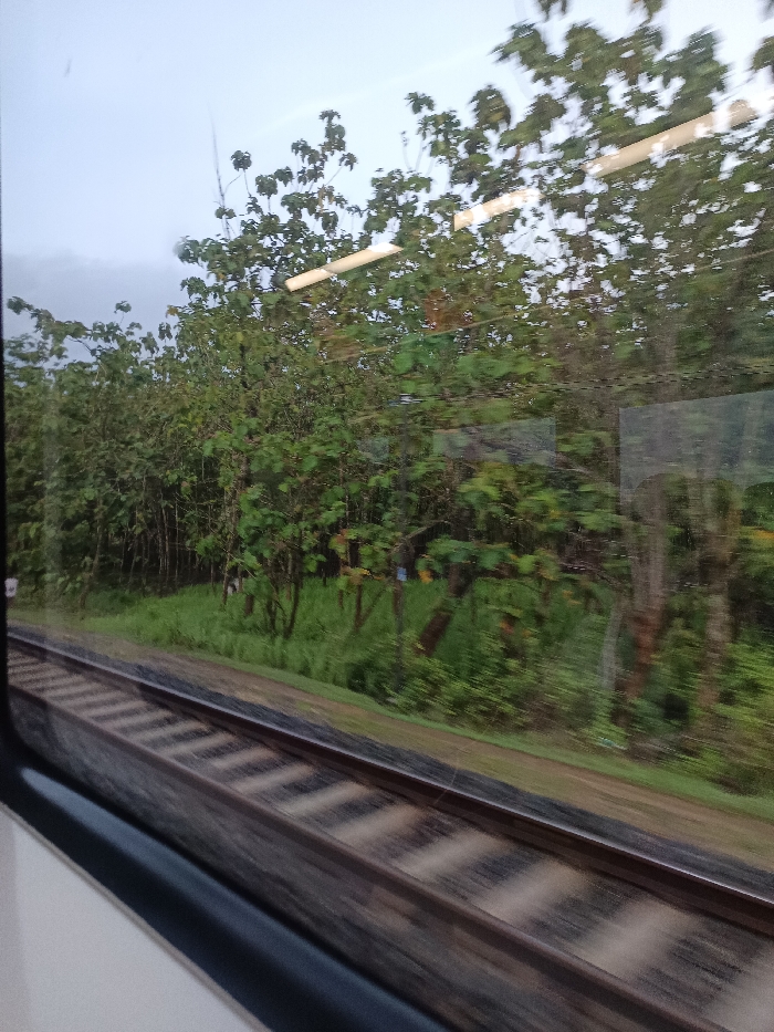 The image presents a view from the interior of a moving train, looking out towards the environment in Kradenan, Indonesia. The lower portion of the frame shows the dark, rectangular border of the train window, with a segment of the train's white interior wall visible below it. Outside the window, two parallel train tracks, constructed of dark metal rails and light-colored sleepers, stretch diagonally from the lower-left to the mid-right, exhibiting significant motion blur consistent with the train's forward movement. Adjacent to the tracks lies a strip of vivid green grass and low vegetation. Beyond this, a dense expanse of various trees and thick green foliage forms the primary background, ascending towards the horizon. The sky above the tree line is uniformly light grey and overcast. Superimposed across the upper half of the image, particularly over the trees, are several horizontal, elongated light streaks, indicative of reflections from the train's interior lighting. No individuals or man-made structures are discernible in the external landscape.