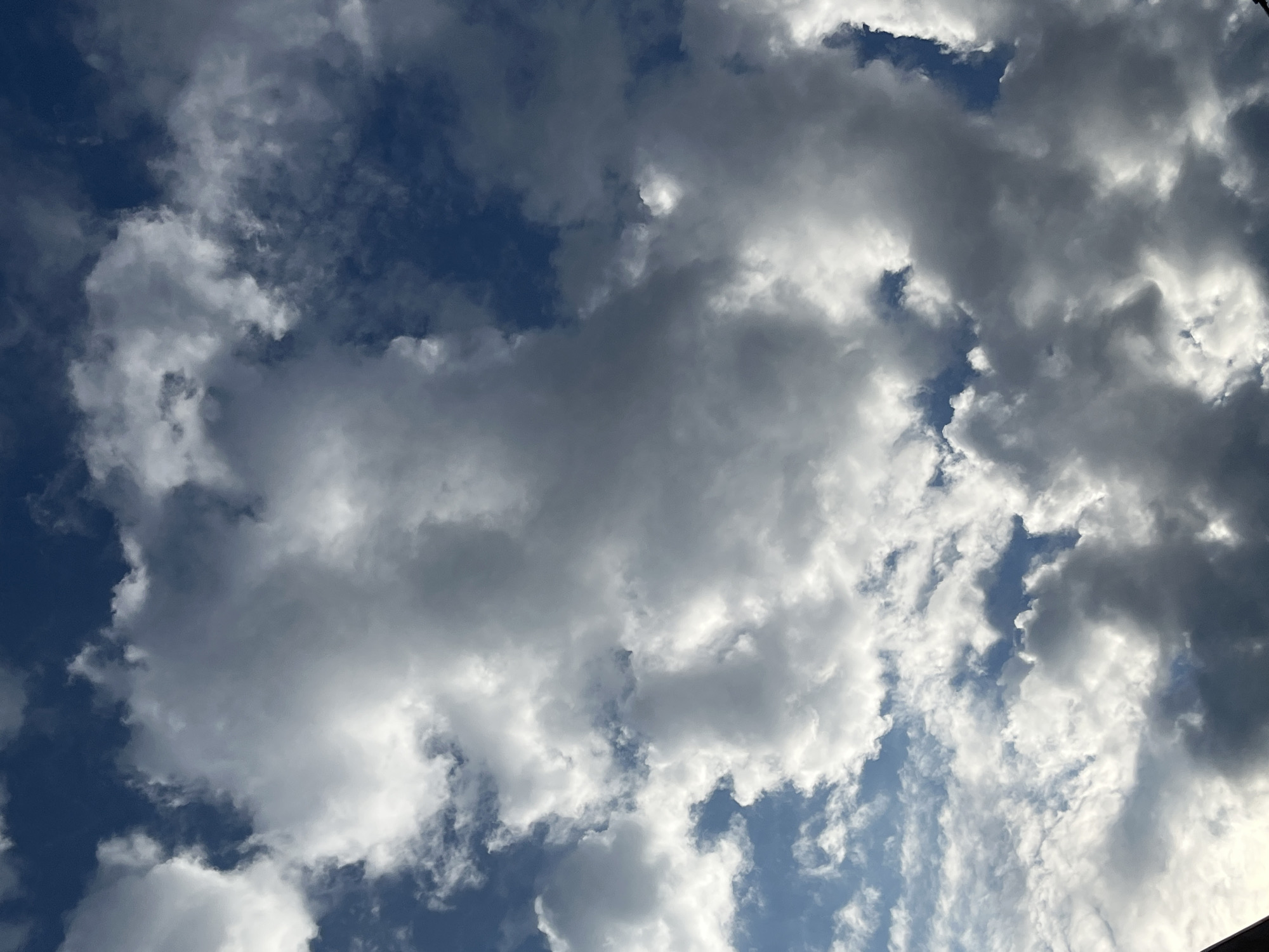 The image displays a vibrant blue sky mostly covered by a diverse array of clouds. The clouds vary significantly in tone and density, ranging from brilliant white, where they are brightly lit by the sun, to dark grey and shadowed, indicating their depth and volume. Large, fluffy formations dominate the central and right portions of the frame, while smaller, more fragmented clouds are scattered throughout. Patches of clear, deep blue sky are visible between the cloud masses, particularly towards the left and in smaller breaks elsewhere. The lighting suggests it is daytime, likely mid-day or afternoon, with strong sunlight illuminating the upper edges of many clouds. The weather appears to be partly cloudy, with a mix of heavy cloud cover and visible blue sky. There are no people, man-made objects, or visible text within the image. While the location context is Saint Petersburg, Russia, the image itself does not contain any specific visual cues to identify a particular geographic location beyond the sky.