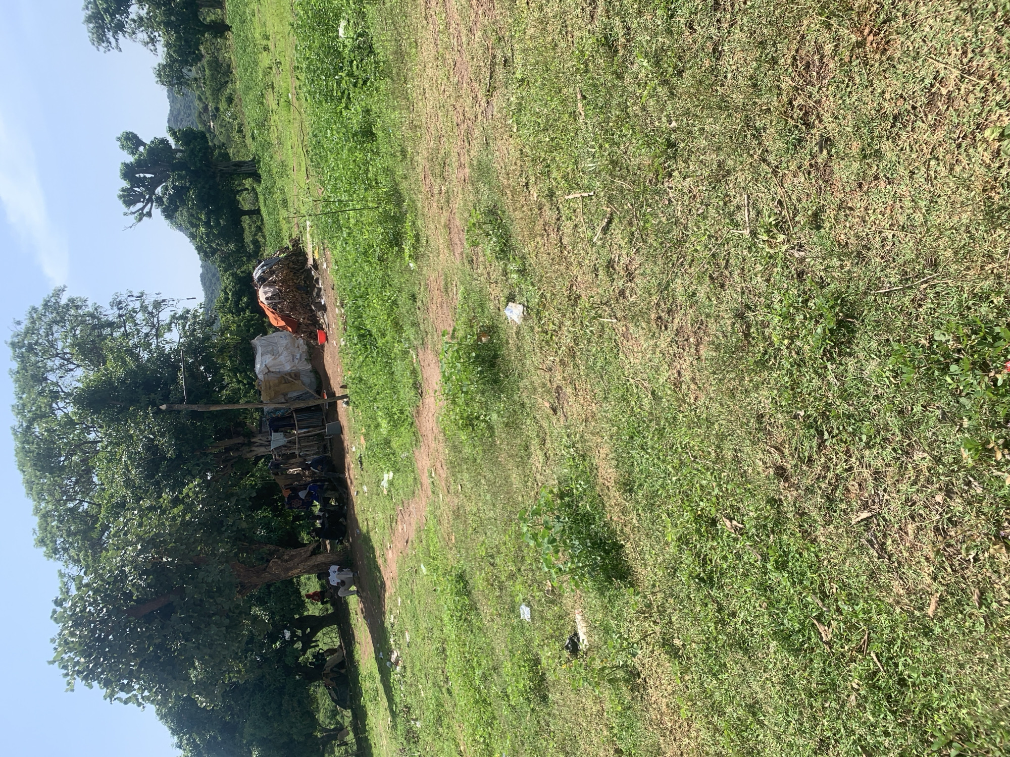 In the city of Dutsen Daji, Nigeria, a rural scene unfolds under a bright sky. Several people are gathered in the shade of large trees, some sitting on the ground. Adjacent to them, a makeshift shelter stands with various materials piled beside it, including what appears to be firewood covered by an orange tarp and a white sheet. A red plastic basin is visible on the ground near the shelter. The surrounding environment is characterized by lush green grass, with some areas of dry earth and scattered vegetation. Hills covered in trees are visible in the background. The overall impression is one of a simple, outdoor living space in a natural setting.