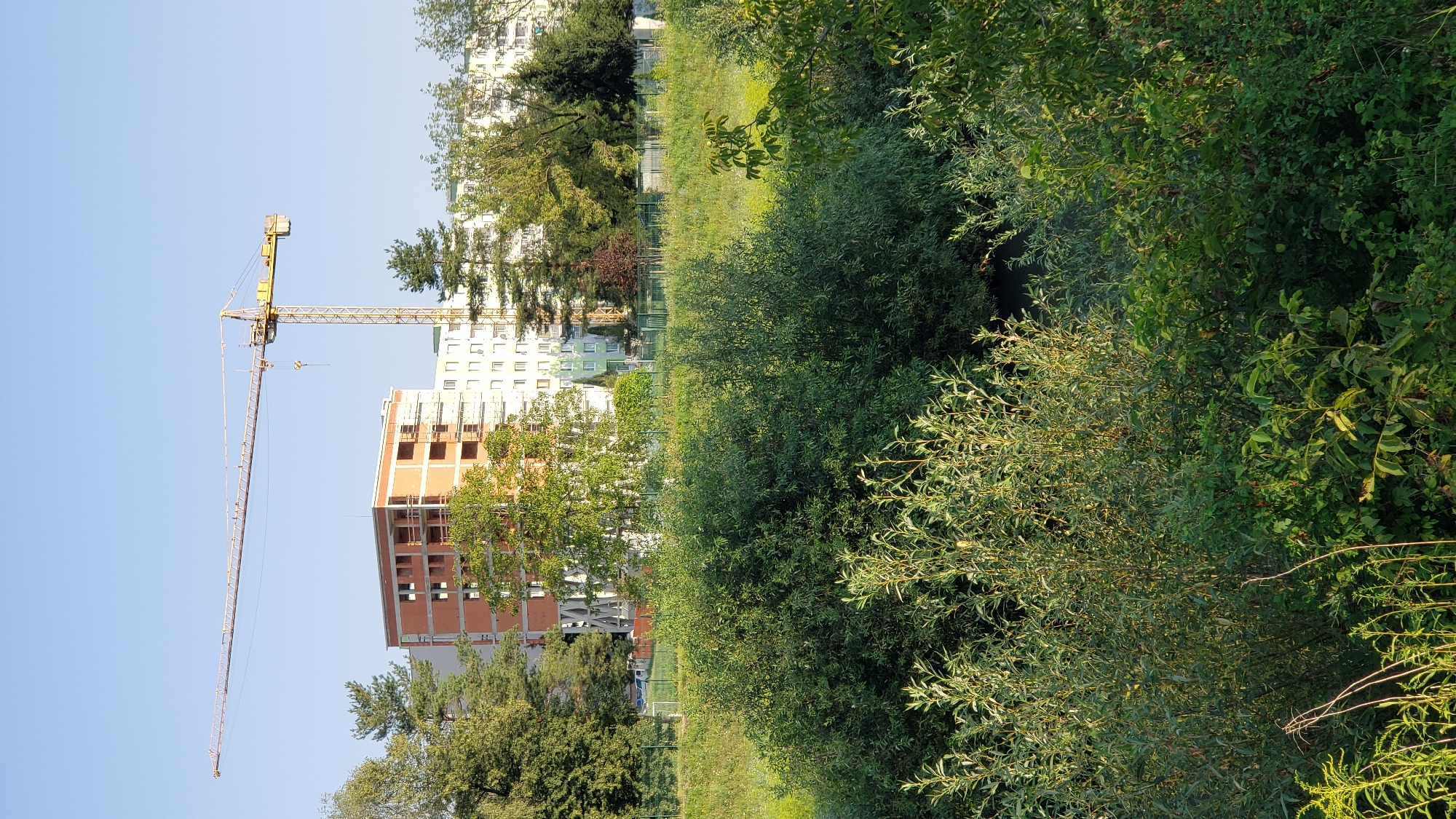 A yellow construction crane extends horizontally across the upper portion of the image against a clear blue sky. Beneath the crane, a multi-story building under construction, clad in orange brick with exposed concrete floors and scaffolding, is visible. To the right of this building, several taller, finished residential buildings with white facades and numerous windows are partially obscured by trees. The foreground is dominated by lush green trees and bushes, with a grassy area and a fence separating them from the background buildings. This scene is located in the city of Prešov, Slovakia, likely in a residential development area undergoing renovation or expansion.