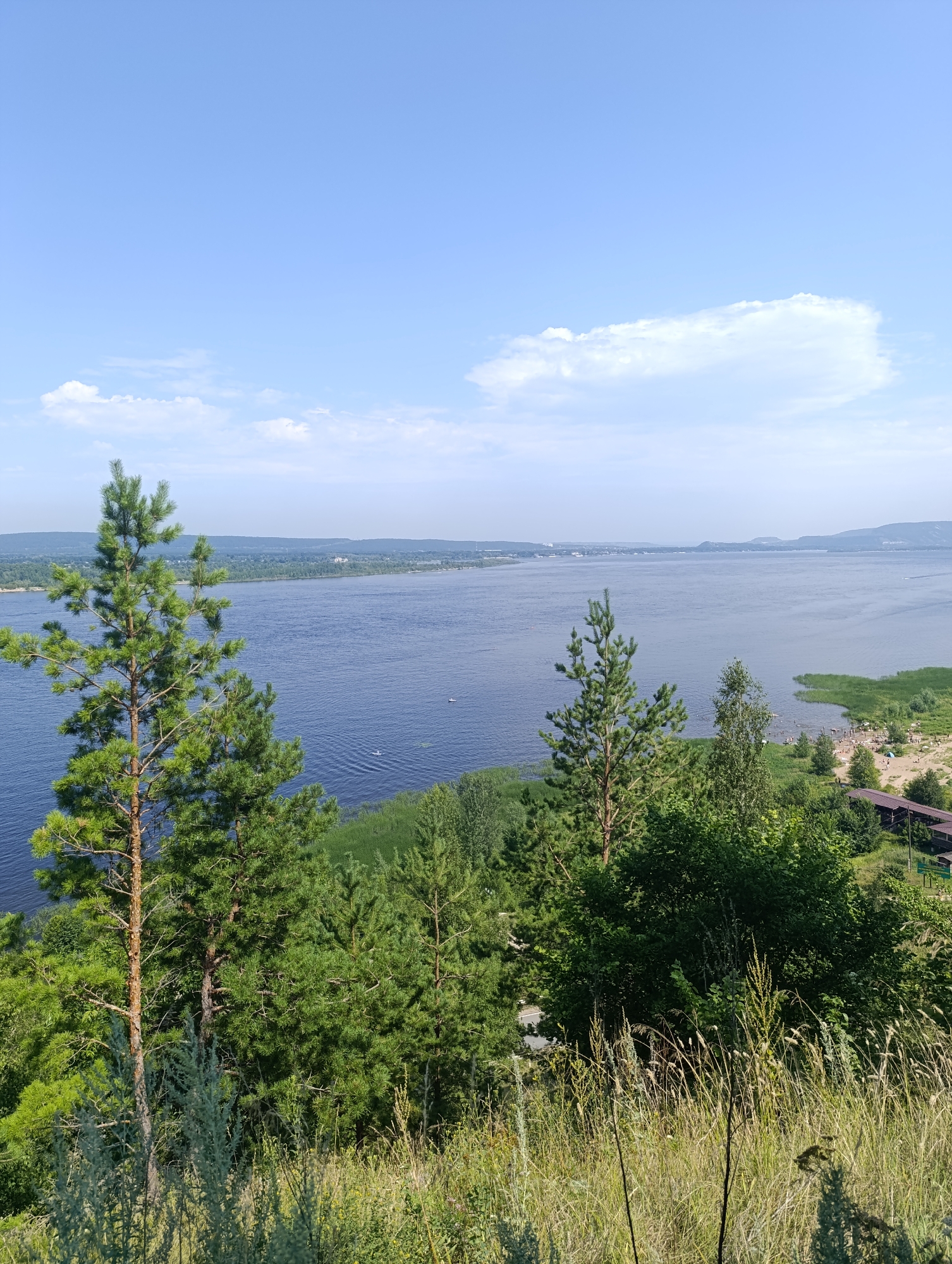 The image captures a wide view of a large river with a clear blue sky above, dotted with a few white clouds. In the foreground, a steep, grassy slope is covered in dry grasses and wildflowers, with several pine trees scattered among them. The river stretches out towards the horizon, with a distant shoreline visible, featuring trees and some buildings. A sandy beach with numerous people sunbathing and swimming is visible along the right bank of the river, in what appears to be Solnechnaya Polyana, Russia. A few small boats are on the water. The overall scene depicts a sunny summer day in a scenic natural setting.