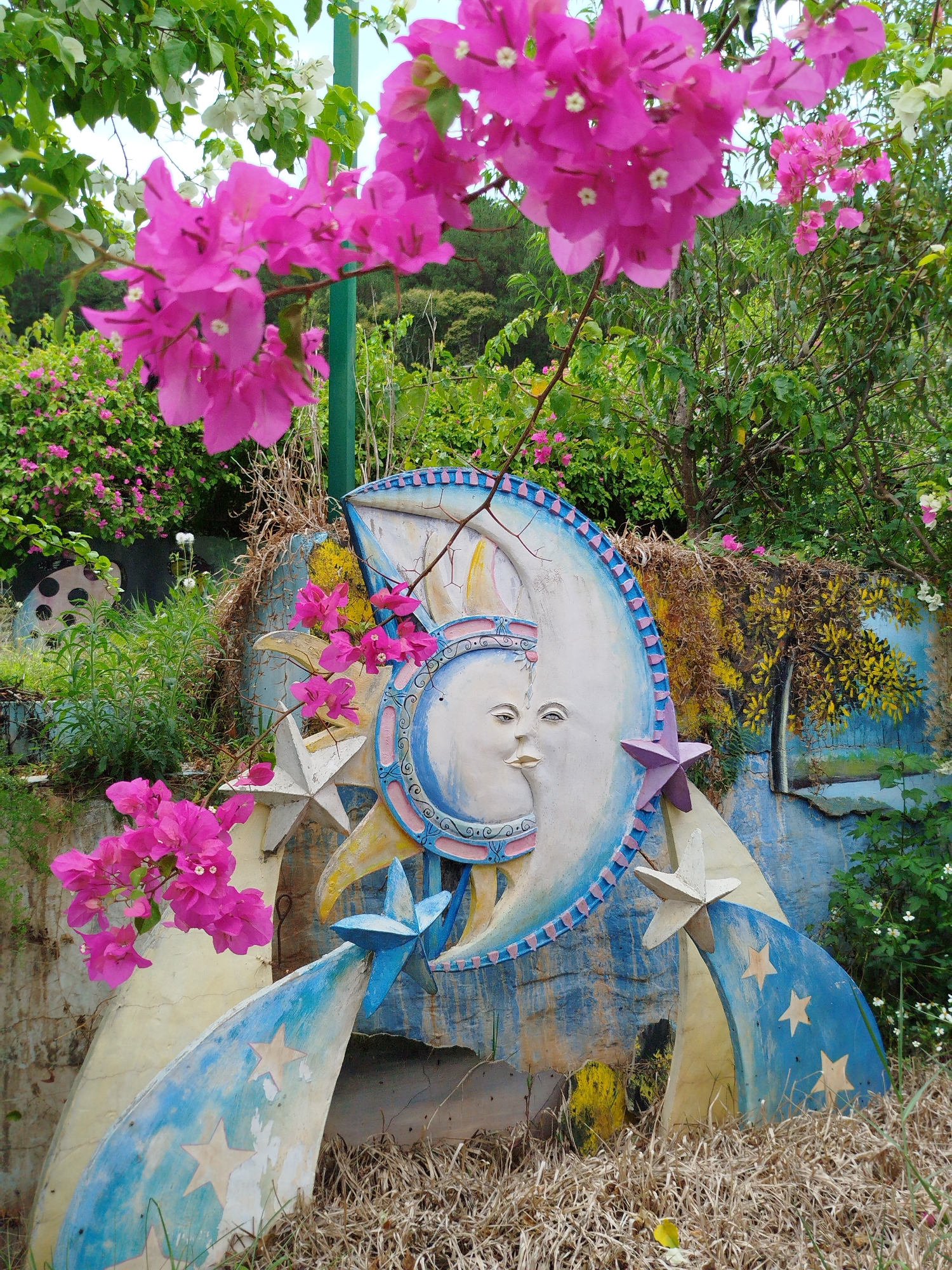 The image captures a whimsical art installation in what appears to be a garden or park setting. The focal point is a moon-shaped sculpture featuring a serene face in profile, painted in light blues, whites, and pastel pinks. This moon is adorned with a series of colorful stars in blue, white, and purple, each mounted on flowing, arching supports painted in blues and whites and decorated with yellow stars.
The installation is surrounded by vibrant pink bougainvillea flowers, adding a burst of color to the scene. Beyond the sculpture, lush greenery includes various plants, trees, and flowers, suggesting a well-maintained or naturally thriving garden. The background also features a painted mural with elements that blend with the natural surroundings.
The base of the installation is amidst dry grass, which could be intentional landscaping or simply untended growth. A green metal support structure is visible behind the sculpture, possibly providing additional support.
The setting is likely Da Lat, Vietnam, given the commonality of such installations in the area.