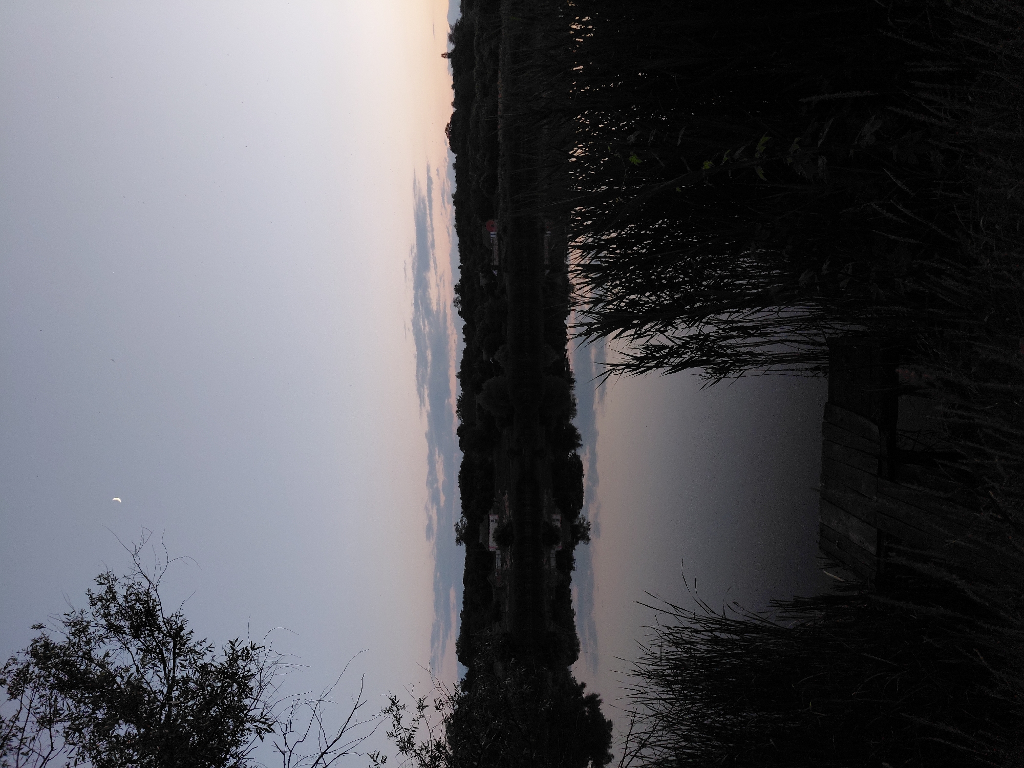 This is a landscape photograph taken at dusk in Ustyvytsia, Ukraine. The scene depicts a still body of water, likely a river or lake, reflecting the twilight sky and a distant treeline. In the foreground, tall reeds and grasses grow along the water's edge, partially obscuring a small, wooden dock. The sky is a soft gradient of pale blue to a muted orange, with a sliver of a crescent moon visible in the upper left quadrant. The treeline is dark and silhouetted against the fading light, with a few small buildings, possibly houses, scattered amongst the trees. The overall atmosphere is tranquil and serene.