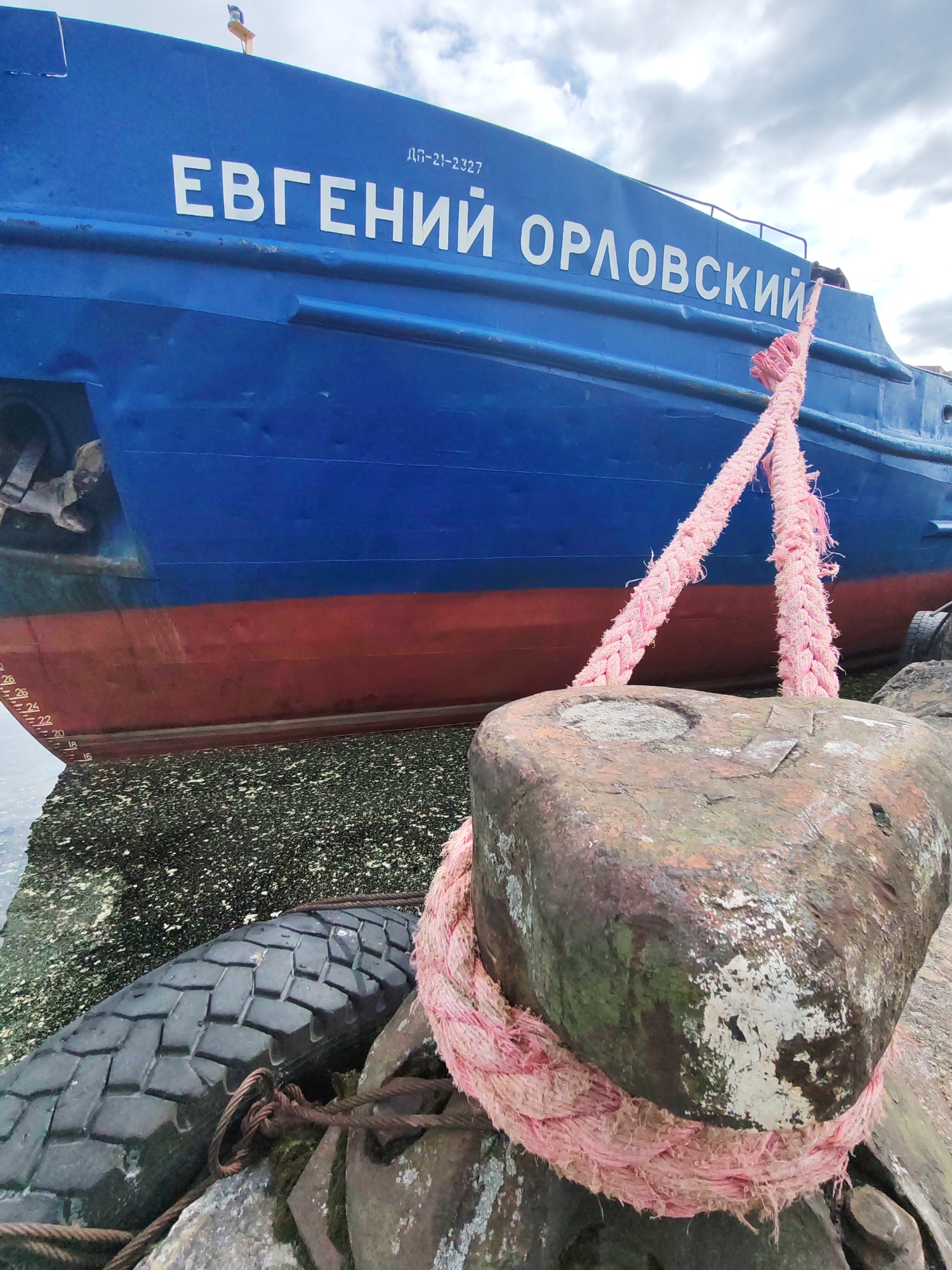 The image captures a blue and red boat, identified as "ЕВГЕНИЙ ОРЛОВСКИЙ" (Yevgeny Orlovsky), moored at a dock in Medvezhyegorsk, Russia, under an overcast sky.
The vessel's hull is painted a deep blue, with a reddish-brown anti-fouling paint below the waterline. The boat's name is displayed in large white Cyrillic letters on its side, along with a smaller identification number "ДП-21-2327". Draft markings, ranging from 16 to 28, are visible on the bow. In the foreground, a heavily weathered and rusty metal bollard is prominent, around which a thick, braided pink rope is securely wrapped. The rope shows signs of wear and fraying.
The water immediately surrounding the boat is murky and covered with a dense layer of dark green and black organic matter or debris. A black rubber tire, functioning as a fender, is partially submerged in this water, secured by thinner wire ropes. The sky above is cloudy, suggesting an overcast day. The scene depicts a working port environment, with the equipment and water showing clear signs of age and heavy use.