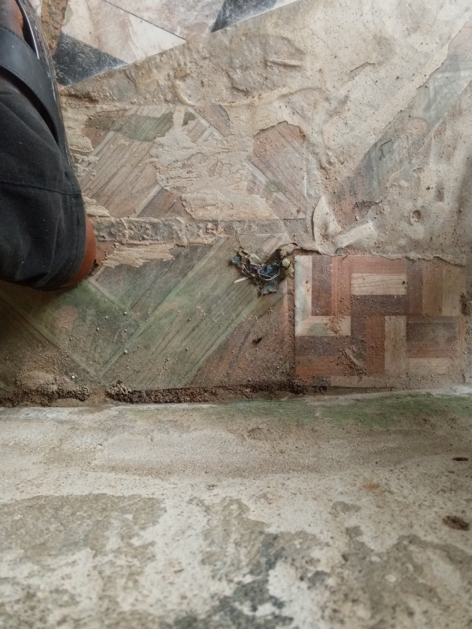 This is a close-up, eye-level, still photograph of a small, colorful insect on the ground. The insect appears to be a butterfly or a moth with iridescent blue, green, and purple wings. It is situated on a tiled floor, partially obscured by dirt and debris. The tiles have a geometric pattern of varying earth tones, including browns, grays, and some muted greens.
In the upper left corner of the image, the lower portion of a person's leg is visible, clad in dark fabric, possibly pants or a skirt, with a black sandal or shoe. This suggests the photo was taken by someone standing or kneeling near the insect. The ground around the tiles is a rough, concrete-like surface, also covered with dust and small pebbles. A thin line of greener vegetation is visible along the edge where the tiled area meets the concrete.
The lighting suggests it is daytime, likely outdoors or in a well-lit indoor space. There are no strong shadows, indicating diffuse light. The scene appears to be an outdoor or semi-outdoor area, possibly a patio, walkway, or a courtyard, given the presence of both tiles and concrete, and the accumulation of natural debris. The overall impression is of an ordinary, everyday moment, focusing on a small detail of nature within a man-made environment. The location context of Gindin Dutse, Nigeria, implies a potentially warm climate.