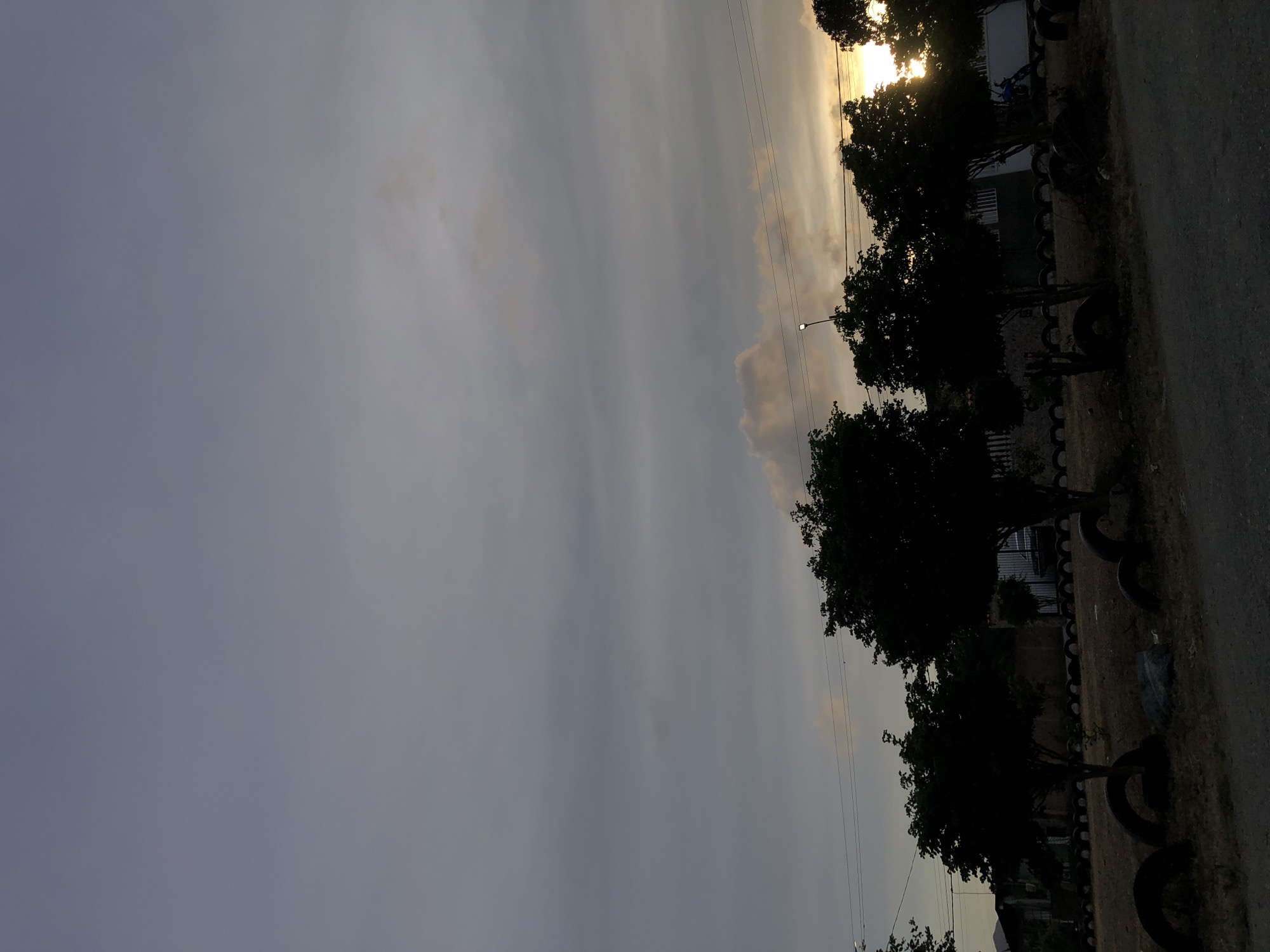 The image displays an outdoor scene in Altagracia, Venezuela, at either sunrise or sunset, characterized by low light conditions. The sky occupies the upper two-thirds of the frame, appearing predominantly overcast gray, with a horizontal band of obscured golden-orange light on the far right horizon. Multiple utility wires are visible horizontally across the mid-sky.
The foreground consists of a dark, unpaved road or dirt path. Beyond this, a dry, light-brown ground extends to a linear arrangement of approximately six to seven deciduous trees, rendered as dark silhouettes due to backlighting. Numerous dark, worn automobile tires are systematically placed along the base of these trees, forming a low border. A single street lamp with an illuminated white bulb is present in the mid-ground, positioned among the trees.
In the background, behind the foliage, faint outlines of residential structures are visible. One building on the right exhibits white architectural elements, and a small, blue, unidentifiable object, potentially a bicycle, is situated near it. The scene is devoid of any individuals or active subjects.