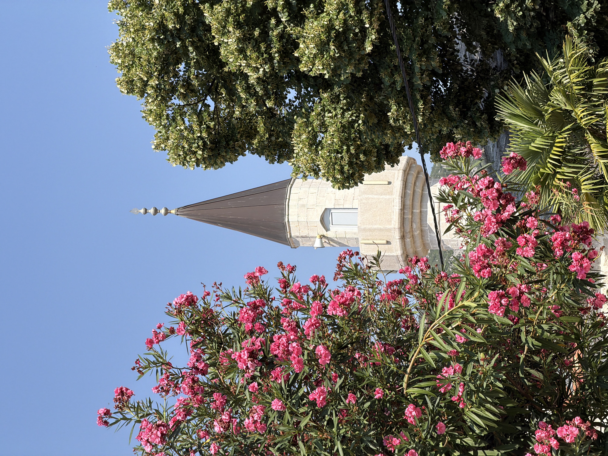 The image shows a minaret of a mosque in Trebinje, Bosnia and Herzegovina, framed by lush pink oleander flowers and green trees against a clear blue sky. The minaret is constructed of light-colored stone and features a conical, dark roof topped with a decorative finial. A small, rectangular window is visible on the tower. The foreground is dominated by the vibrant pink blossoms and green foliage of oleander bushes, with a palm frond visible in the lower right corner. A large, dense tree with light green leaves is situated to the right of the minaret, partially obscuring it. Power lines are visible in the upper right portion of the image, crossing in front of the tree. The scene is captured from a low angle, looking upwards.