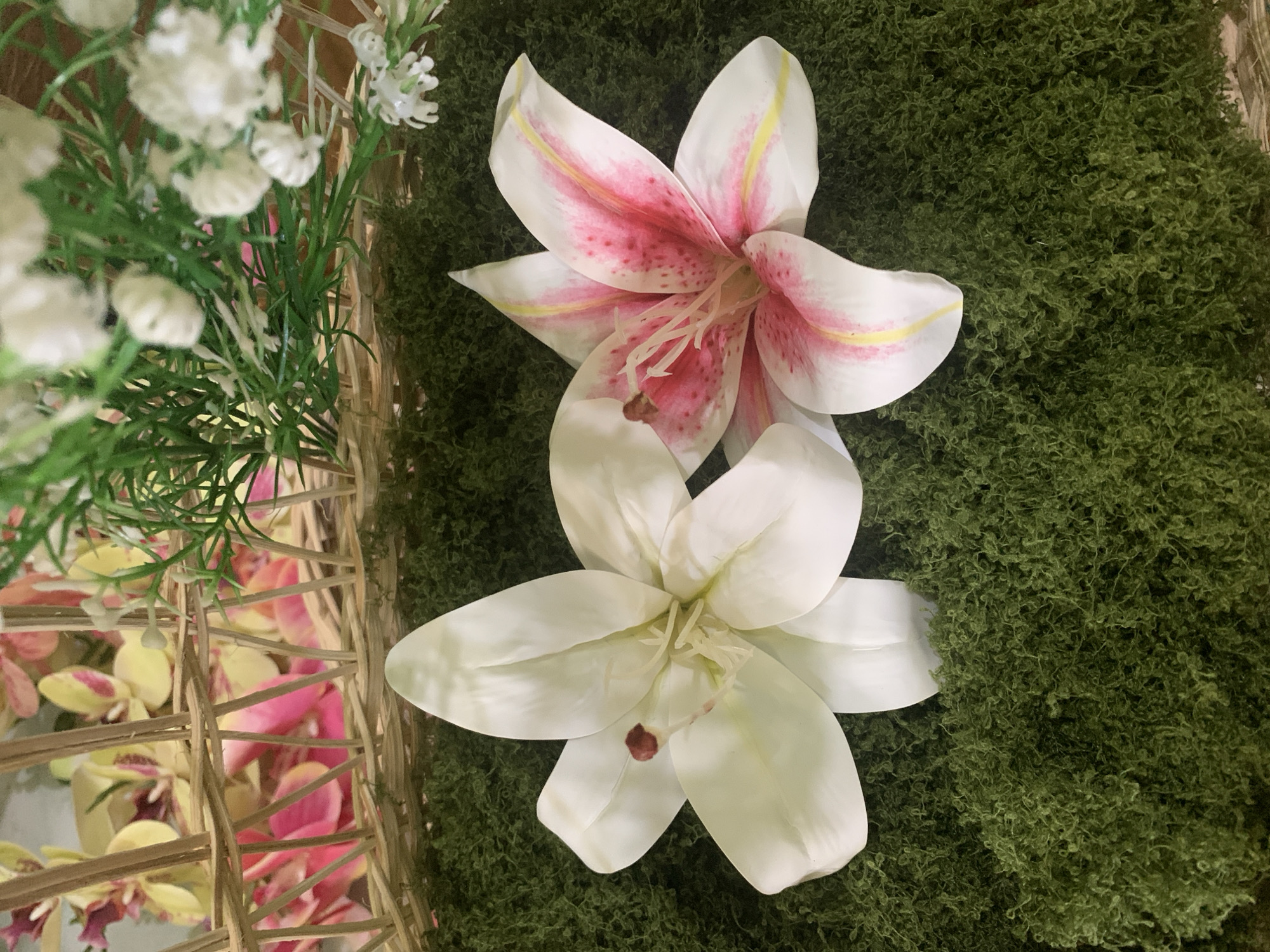 A still life image features two lilies, one white and one white with pink speckles and yellow streaks, resting on a bed of green moss. In the background, a wicker basket contains vibrant pink and yellow flowers, interspersed with delicate white baby's breath and green foliage. The scene evokes a sense of natural beauty and floral arrangement, possibly within a home or garden setting in Kuala Pembuang, Indonesia.