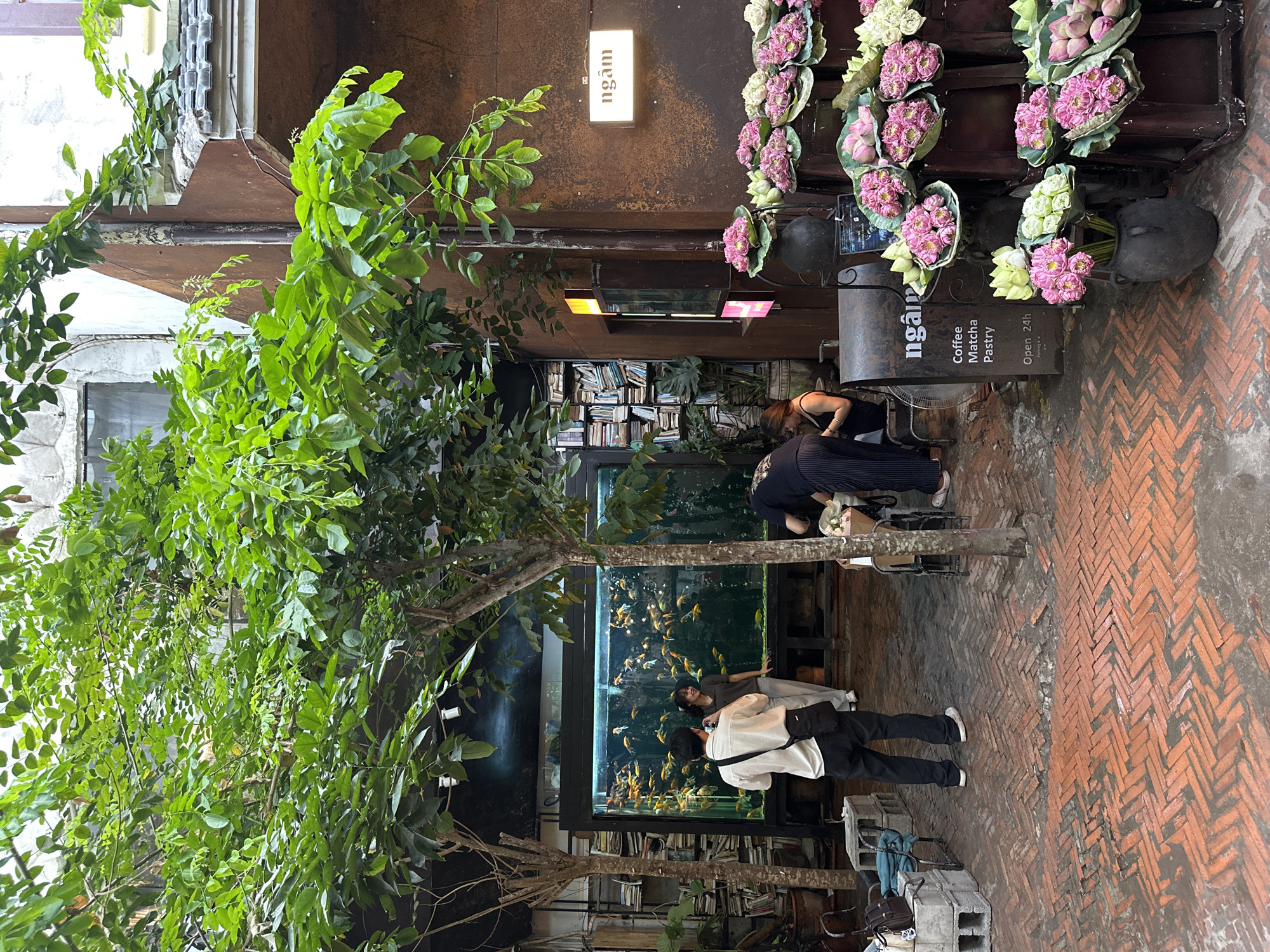 Captured in the city of Thủ Đức, Vietnam, the image presents an outdoor scene featuring a cafe's facade and its immediate surroundings. Dominating the left is a large tree with vibrant green foliage. Behind it is a structure, possibly a building, with a window visible on the left side.
At the back of the frame, there is a signage that reads "ngâm" above the entrance. To the right of the entrance, there is a collection of flowers in dark containers. Below the flowers and to the right of the entrance, another sign provides additional information: "ngâm Coffee Matcha Pastry Open 24h".
In the foreground, a large aquarium stands with people interacting with it. Two figures are positioned in front of the aquarium, one taking a photograph while another poses. To the left of the aquarium, a woman is standing near the entrance of the cafe.
The floor is covered with red brick arranged in a herringbone pattern.
