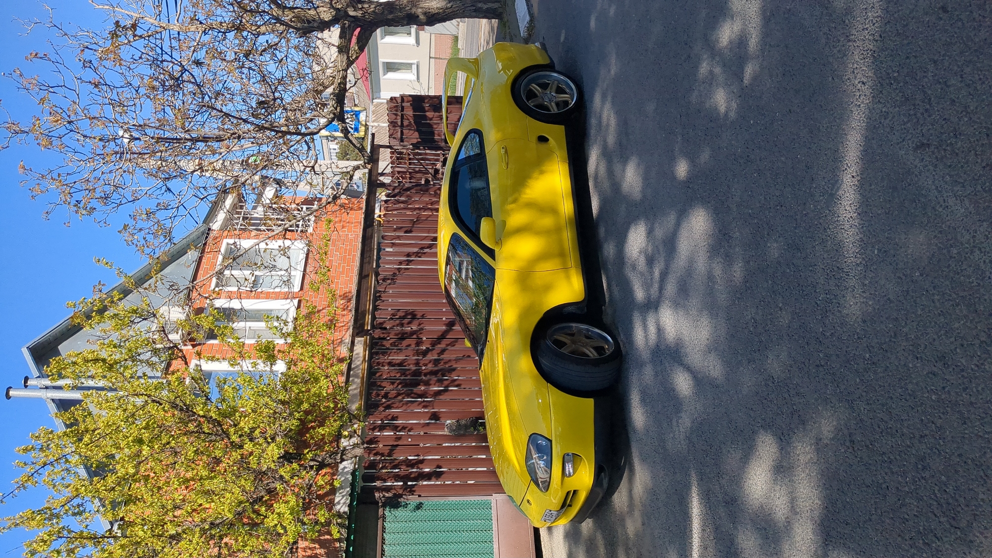 A vibrant yellow Mazda RX-7 (FD generation) sports car is parked on the asphalt road of a residential street in Gelendzhik, Russia, under a clear blue sky. The car, featuring custom multi-spoke wheels with a gold/bronze finish and a prominent rear spoiler, faces right in the rotated image (or forward if viewed upright). Its sleek body reflects the bright sunlight, and its front license plate, partially visible, reads "B 556 HX 97".
To the left of the car, a sturdy brown wooden fence separates the road from a multi-story house. The house is constructed with red brick, featuring white-framed windows with blinds visible inside, and topped with a gray sloped roof. Two trees are prominent in the scene: a mostly bare deciduous tree with nascent green leaves in the upper part of the frame, and another tree with fuller green foliage closer to the ground, obscuring part of the house.
Long, dappled shadows from the trees stretch across the asphalt road, indicating bright sunshine and possibly mid-morning or late afternoon. The overall scene depicts a peaceful, sunny day in a residential area.