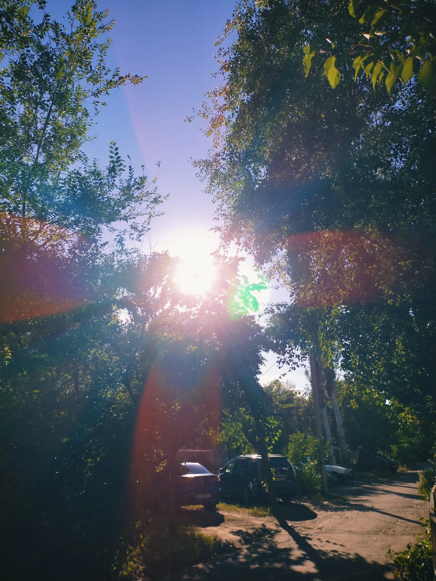 The image captures a sun-drenched scene with lens flares, likely taken in the city of Horishni Plavni, Ukraine. The sun is prominently featured, peeking through the dense foliage of trees, casting dappled light and shadows on the ground. The surrounding environment appears to be a residential area or a park, with several cars parked along a dirt road or driveway. The trees are lush and green, suggesting a warm season. The sky is a clear blue, further emphasizing the bright, sunny conditions. The overall impression is one of a peaceful, natural setting illuminated by the sun's powerful rays.